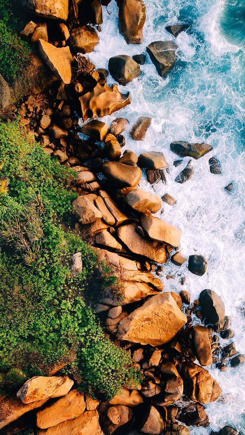 Rocks 桌布 壁紙 — 從高空俯瞰，碧綠色的海浪拍打著陽光照耀的金色岩石，旁邊是茂密的綠色海岸植被。