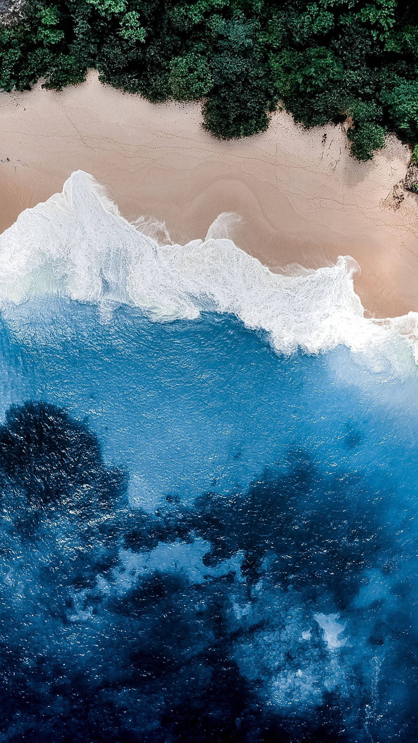 Wave 桌布 壁紙 — 從高空俯瞰，綠松石色的海浪拍打著彎曲的沙灘，沙灘邊緣是茂密的綠色森林。