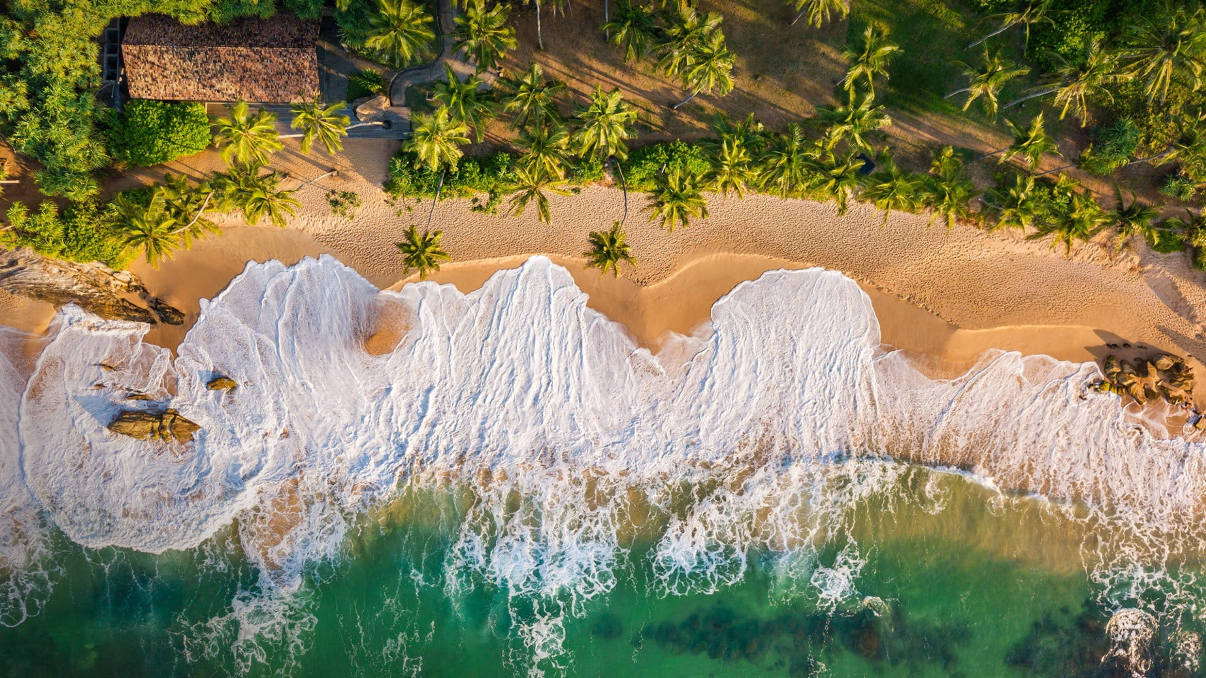 Sri Lanka 桌布 壁紙 — 從高空俯瞰，綠松石色的海浪拍打著沙灘，沙灘上種滿棕櫚樹，還有一間茅草屋頂的小屋。