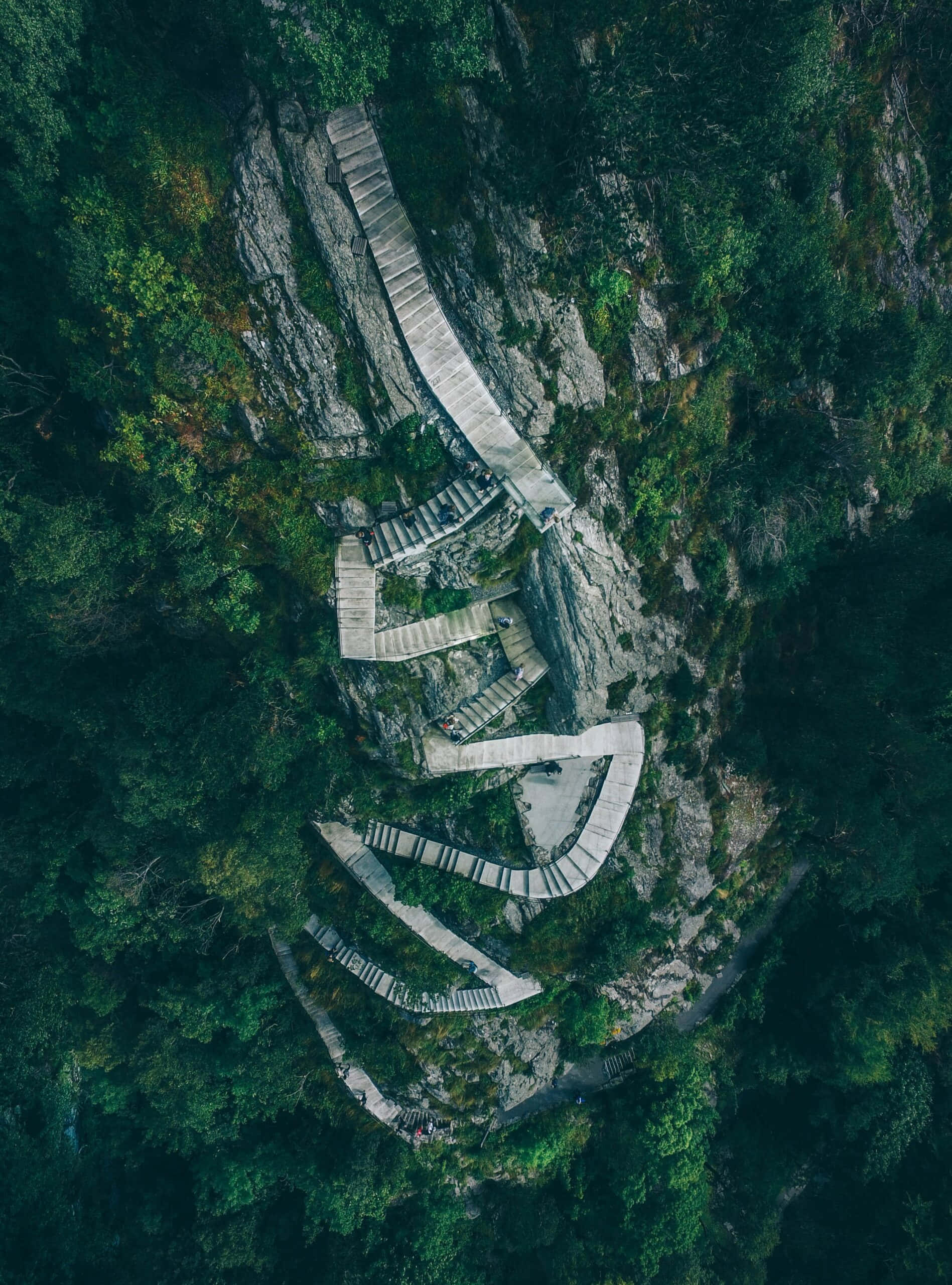 山景 桌布 壁紙 — 從高空俯瞰，蜿蜒的木樓梯雕刻在鬱鬱蔥蔥的森林懸崖上。