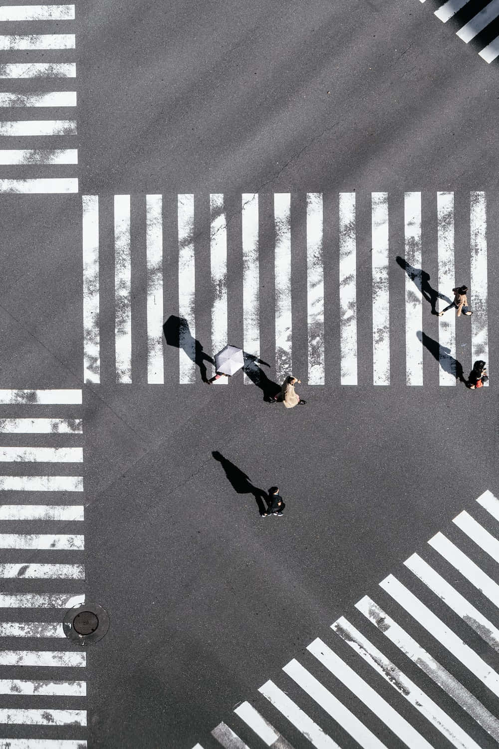  壁紙 — 從高空俯瞰，行人正在明亮的陽光下，在白色條紋斑馬線上穿越一條單調的城市街道。