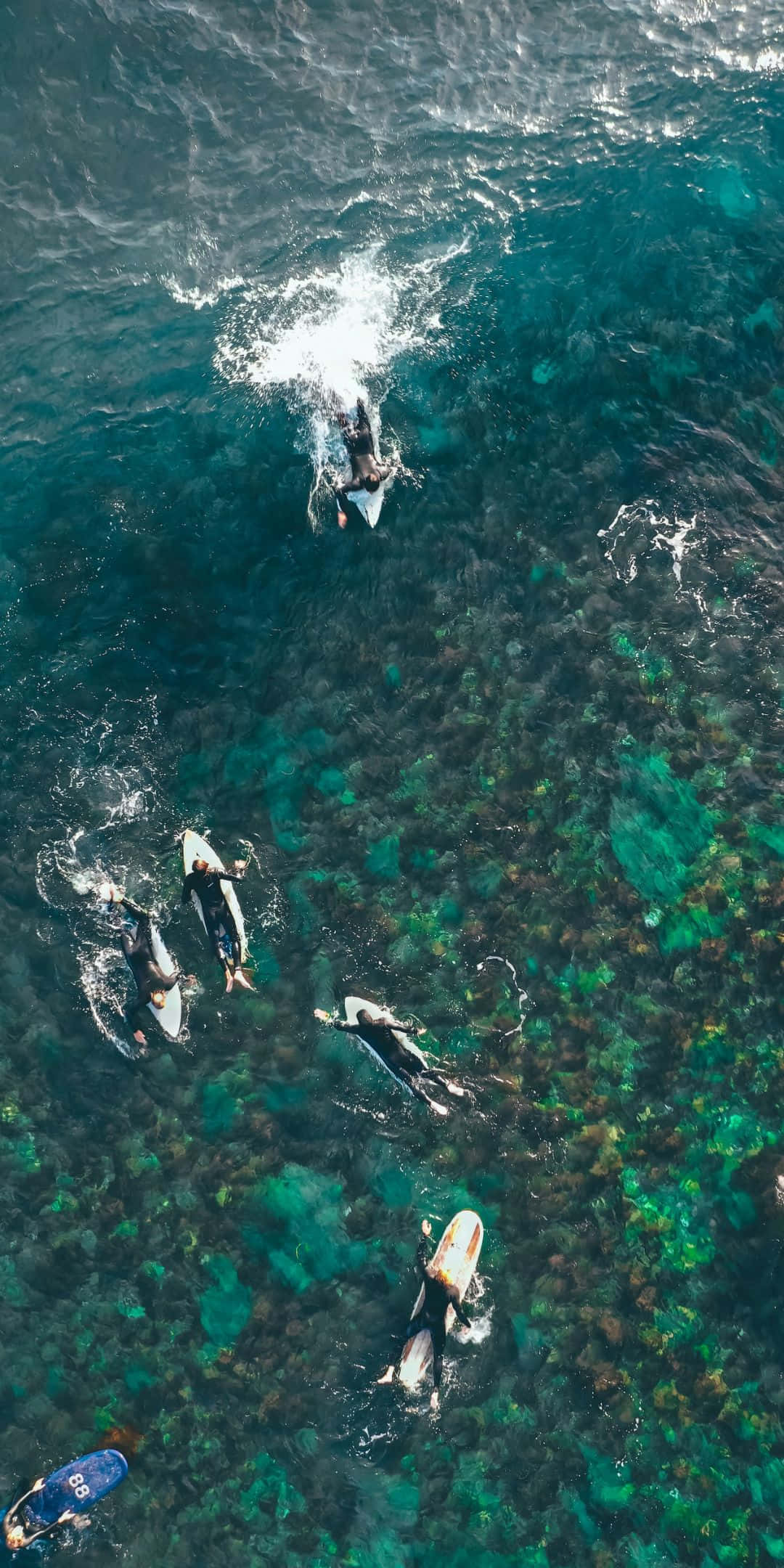 surfing 桌布 壁紙 — 從高空俯瞰，衝浪者在碧綠的海水上滑行，下方是色彩繽紛的珊瑚礁。