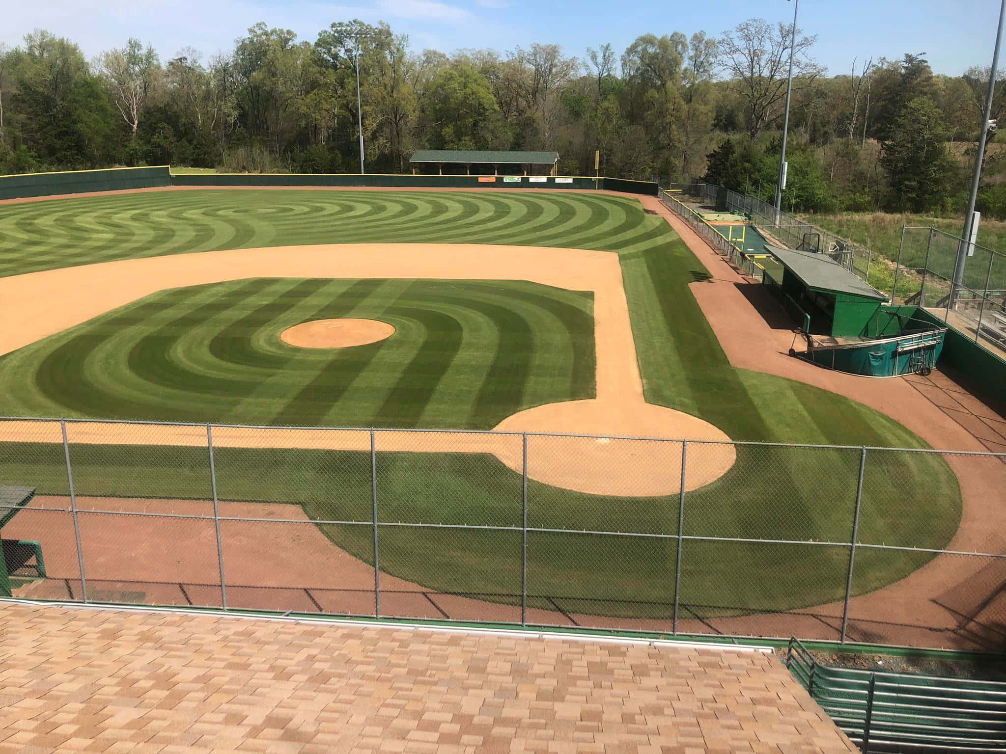 Baseball Field 桌布 壁紙 — 從高空俯瞰一個精心修剪的棒球場，帶有條紋綠色草地和棕色泥土內野，周圍環繞著樹木和綠色球員休息區，在清澈的藍天下。