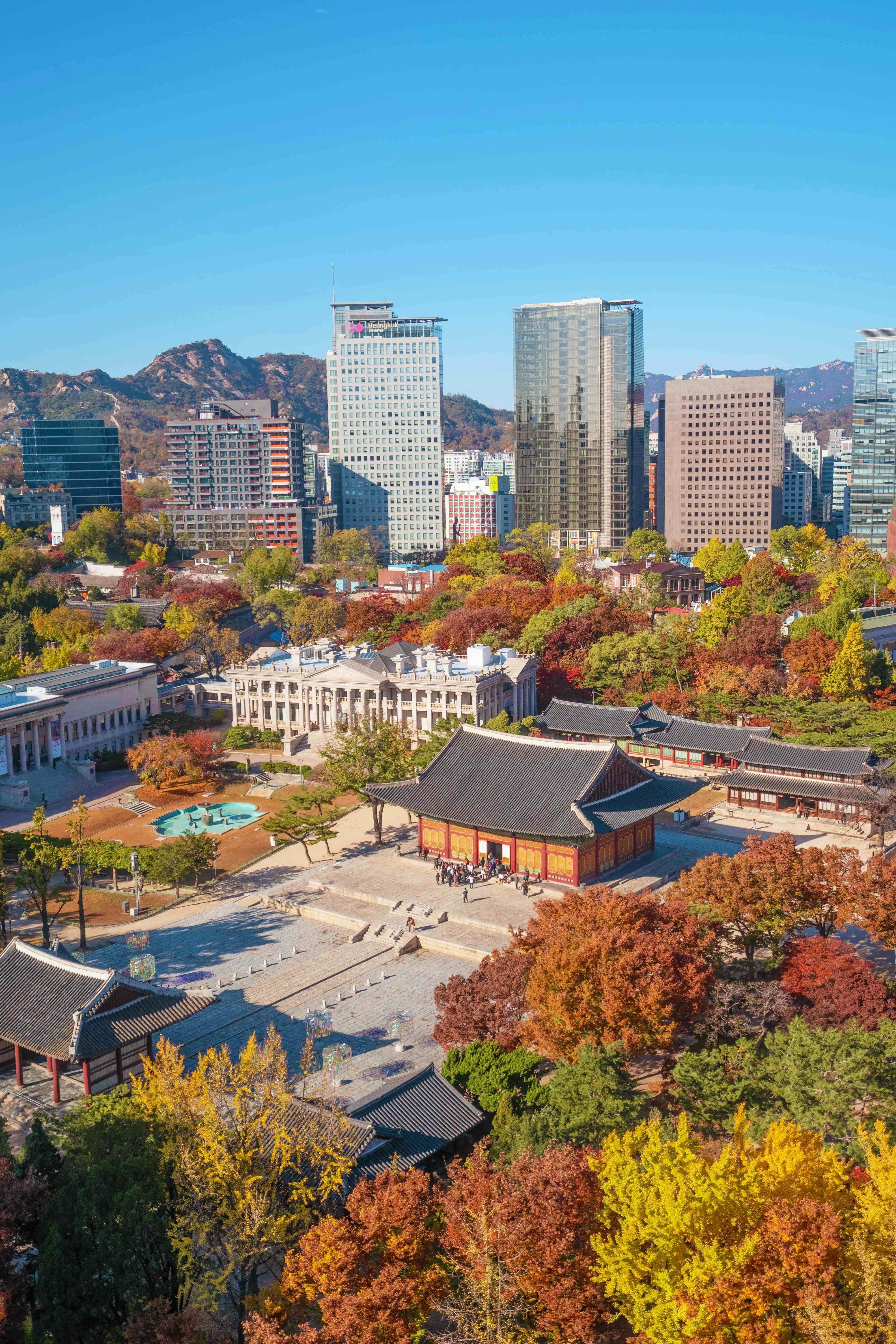 韓國 桌布 壁紙 — 從高空俯瞰傳統韓國寺廟，被秋葉環繞，背景是現代摩天大樓和山脈，天空清澈湛藍。