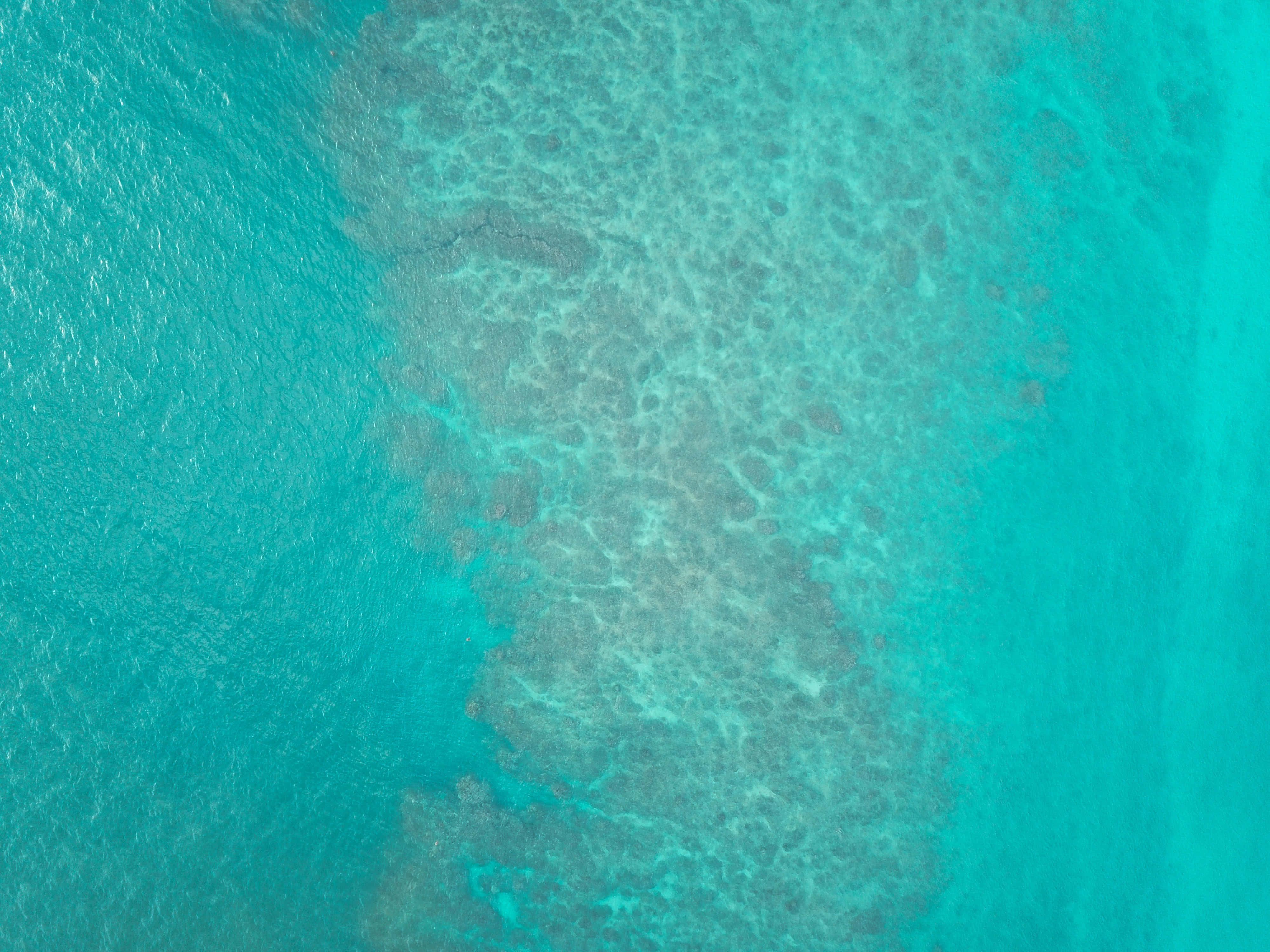Turquoise Green 桌布 壁紙 — 從高空俯瞰充滿活力的藍綠色海水，水面下顯露出複雜的珊瑚礁圖案。