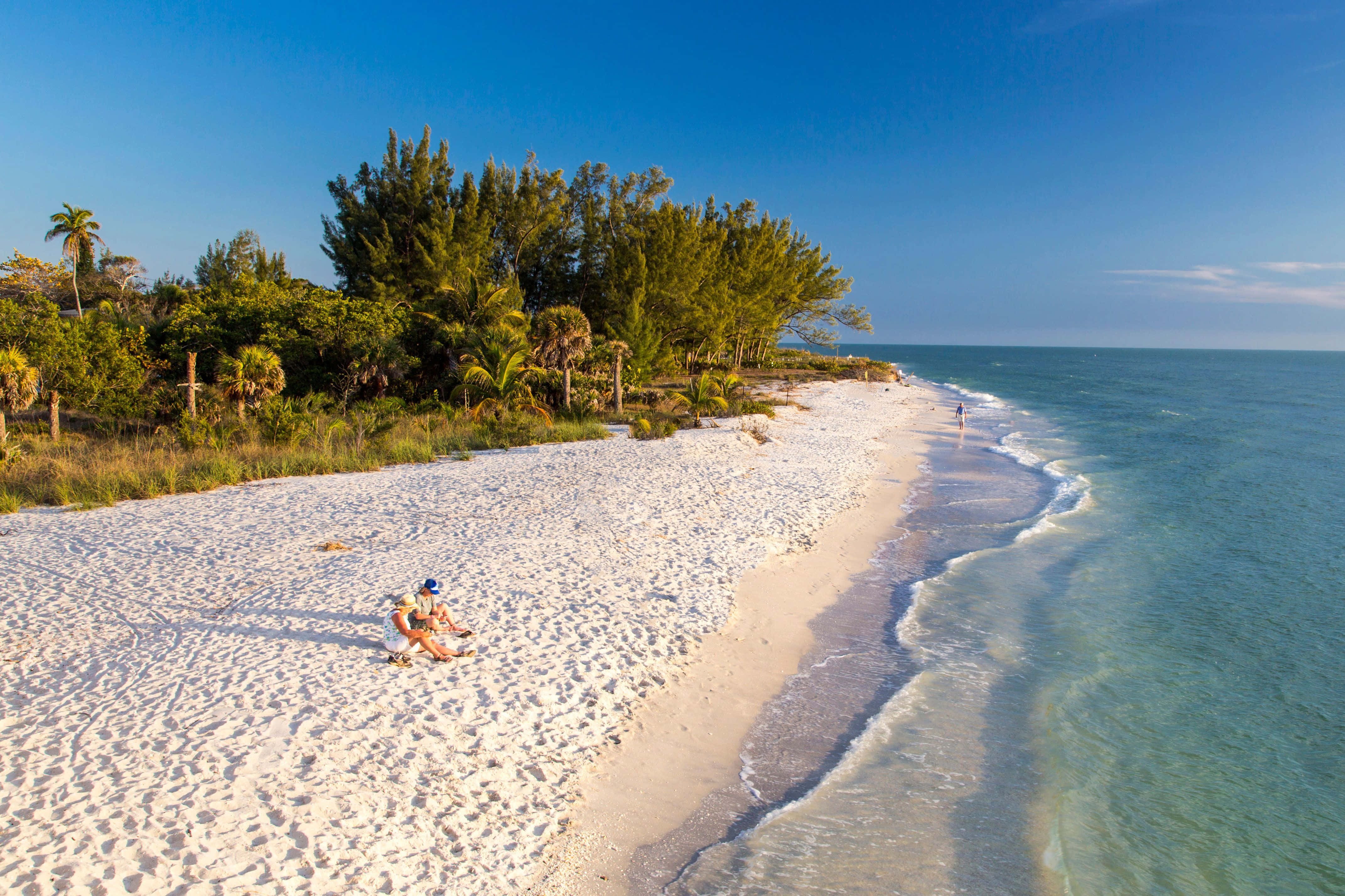 Beautiful Beach 桌布 壁紙 — 從高空俯瞰寧靜的熱帶海灘，白色沙灘、碧綠海水和茂密綠植，在清澈的藍天下。