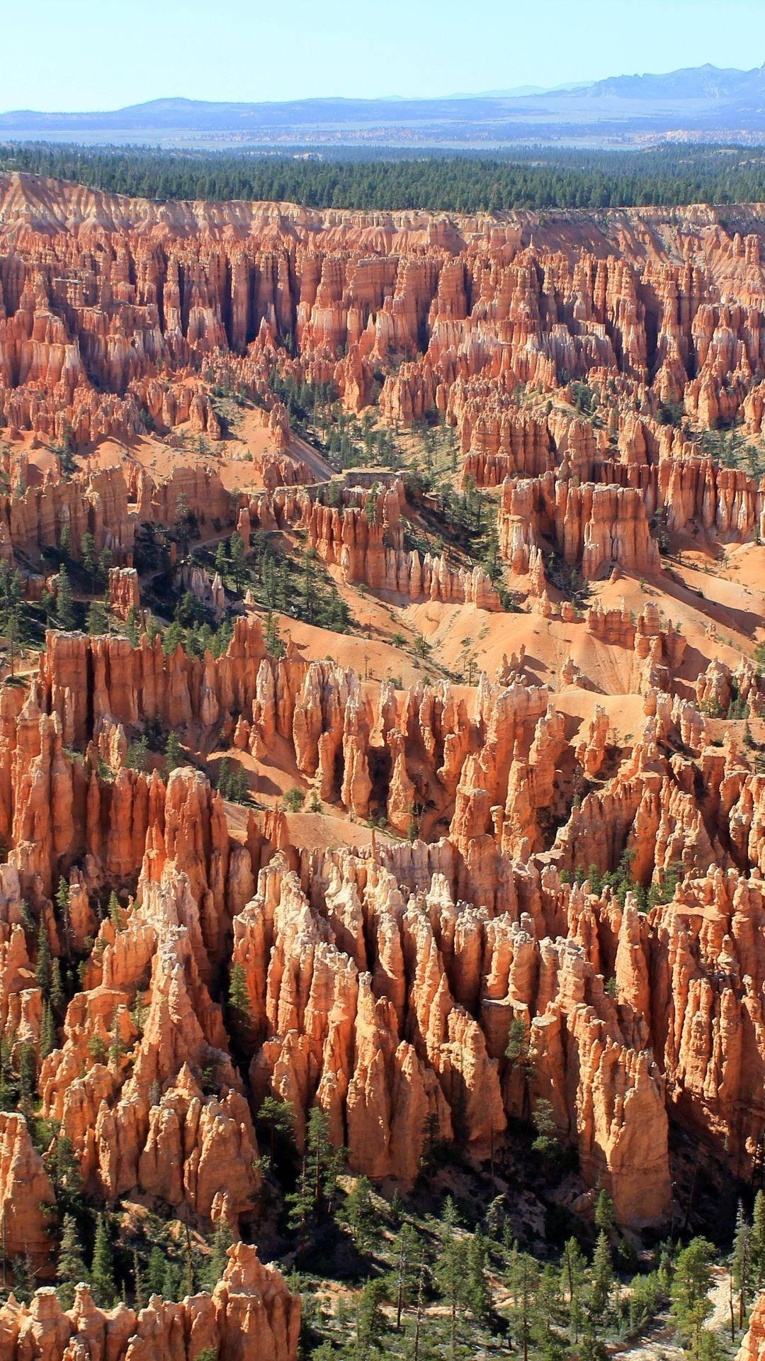 Rocks 桌布 壁紙 — 從高空俯瞰布萊斯峽谷充滿活力的橙色岩柱，從森林覆蓋的山谷中升起，在清澈的藍天下。
