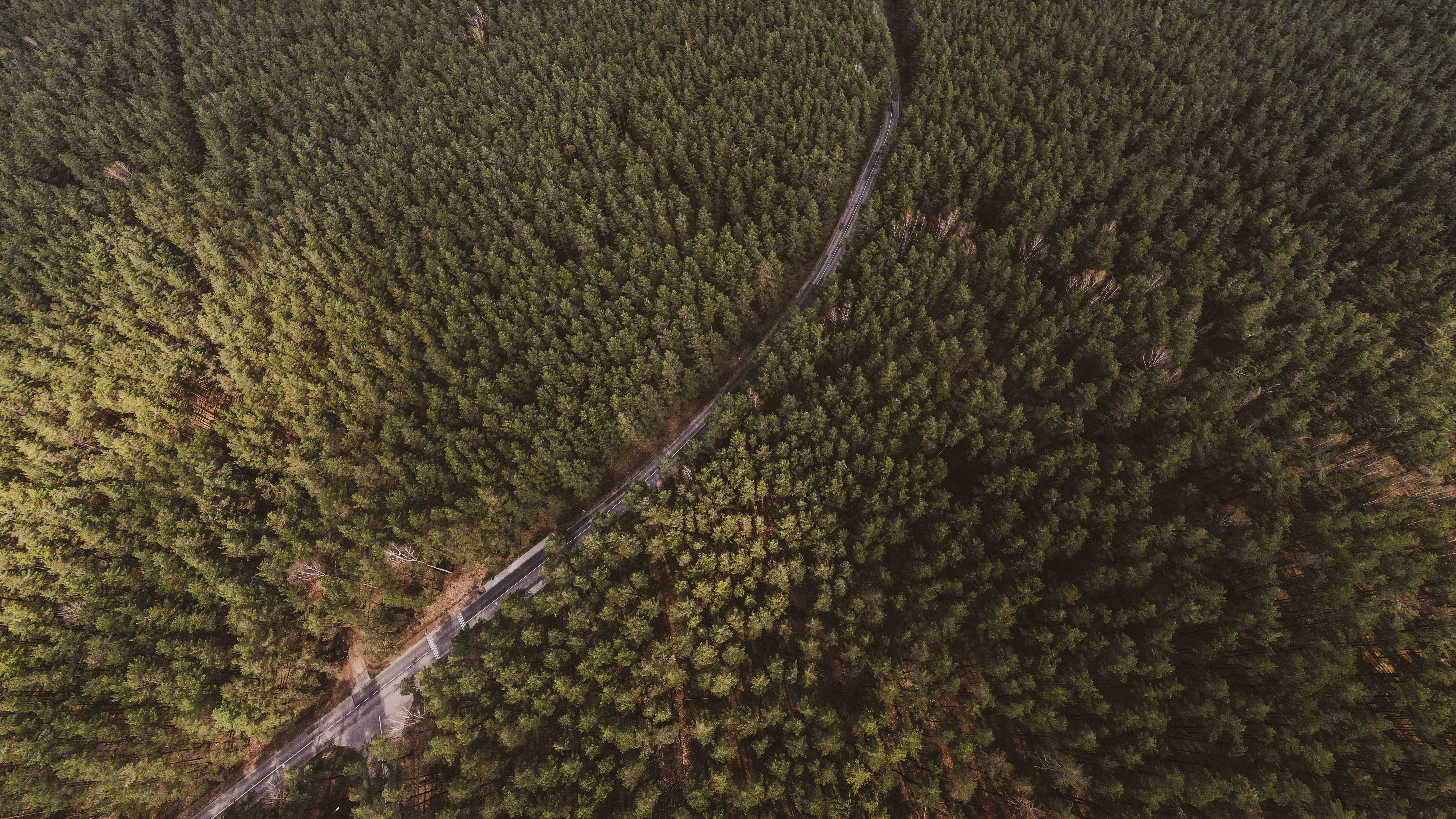 Lithuania 桌布 壁紙 — 從高空俯瞰蜿蜒的道路穿過茂密的綠色森林樹冠。