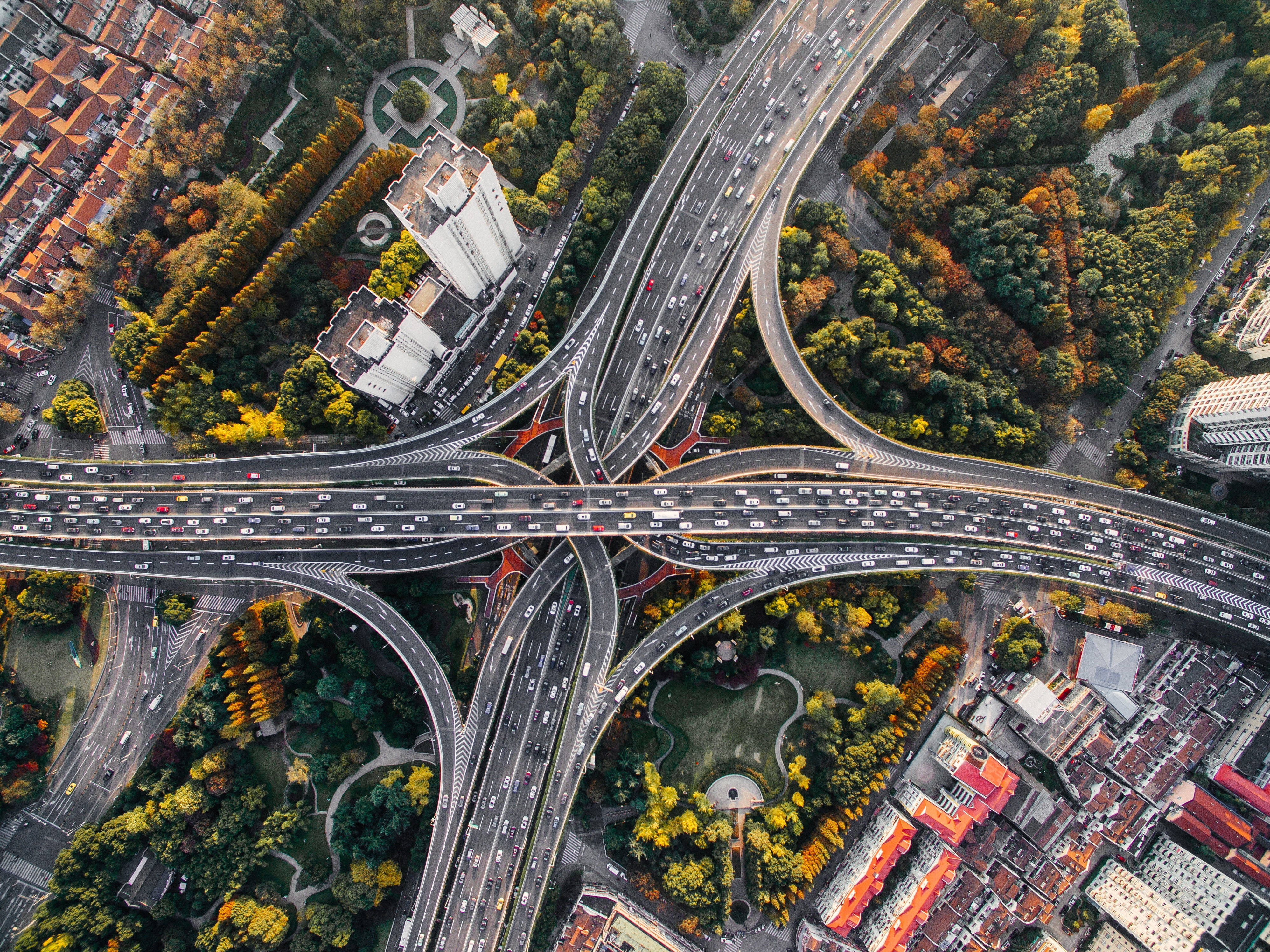 Shanghai 桌布 壁紙 — 從高空俯瞰複雜的高速公路交匯處，蜿蜒穿過秋色樹木和城市社區。