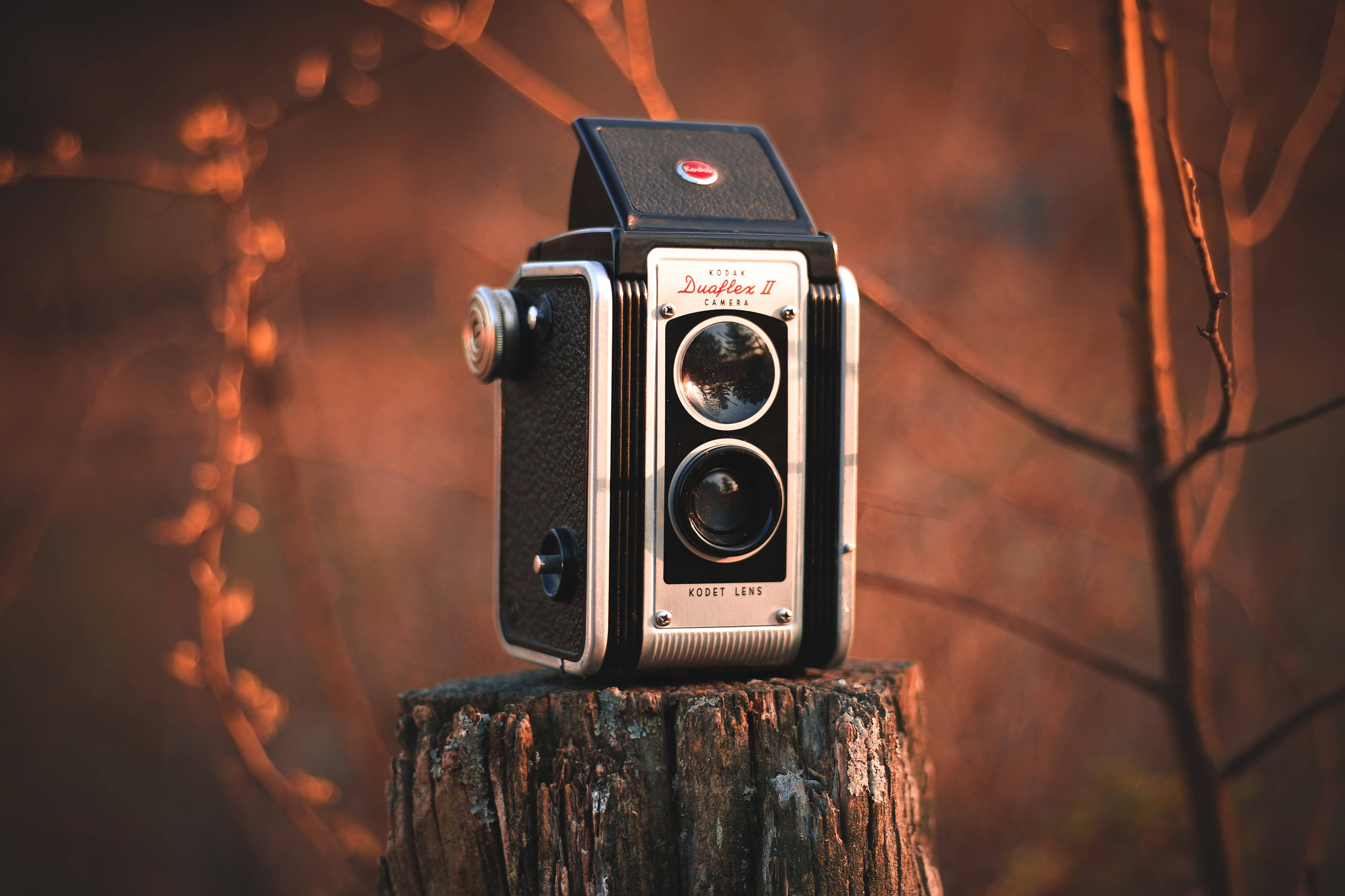 復古 桌布 壁紙 — 復古Kodak Duaflex II相機棲息在風化的樹樁上，背景是溫暖的金色日落。