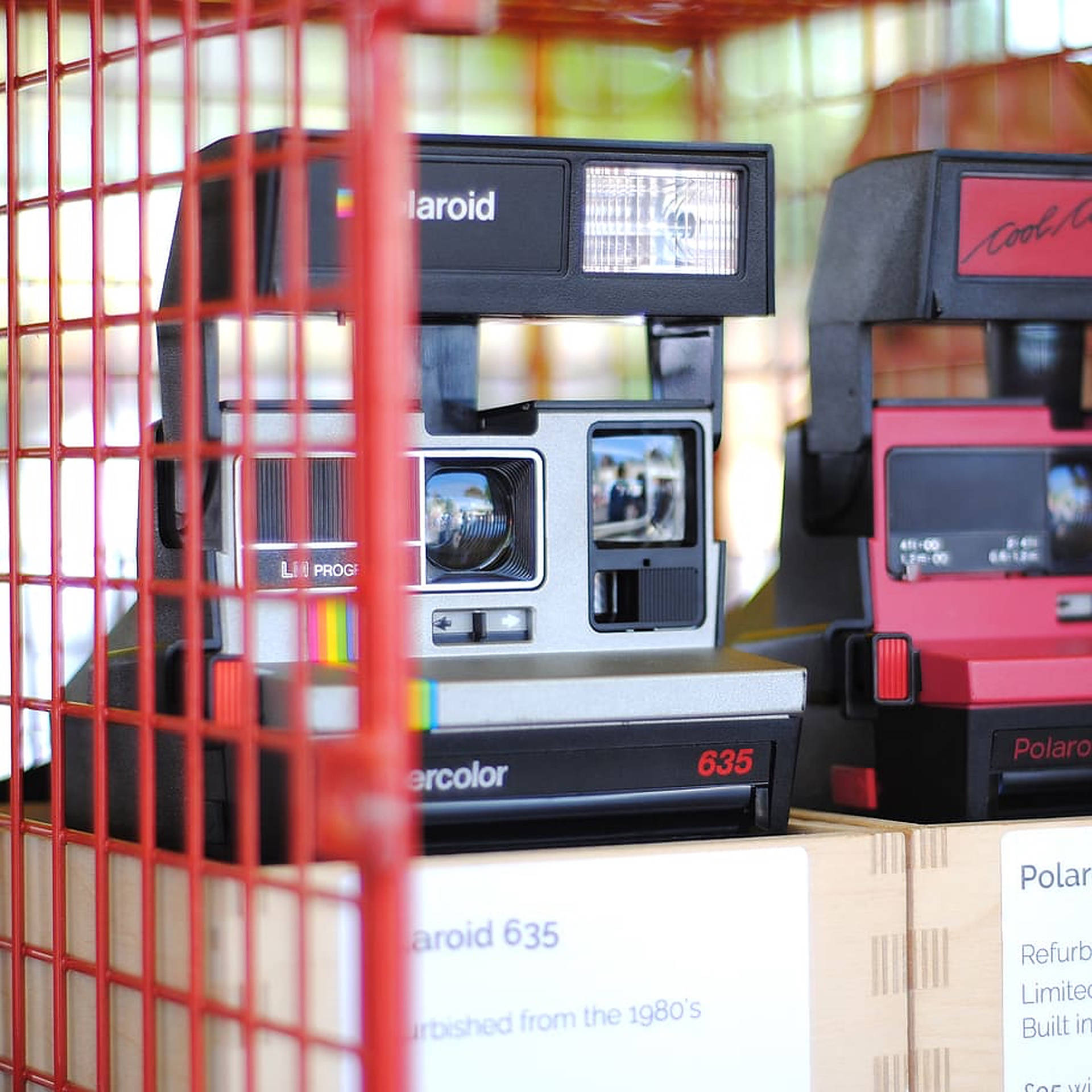 拍立得 桌布 壁紙 — 復古Polaroid 635相機陳列在紅色網格後面，店內有溫暖的陽光透入。