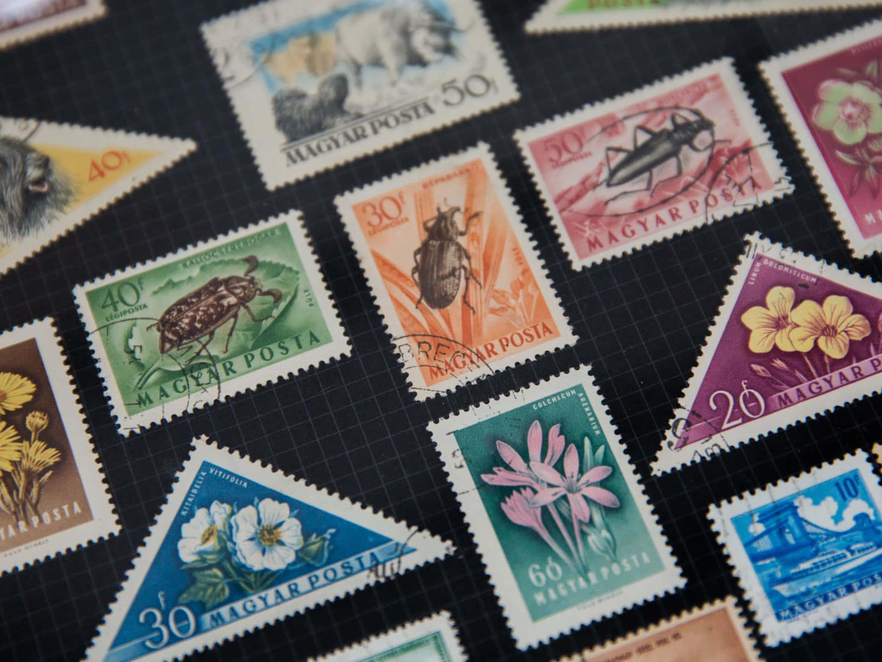 Stamp 桌布 壁紙 — 復古匈牙利郵票，上面有昆蟲、花朵和動物，排列在深色網格表面上。