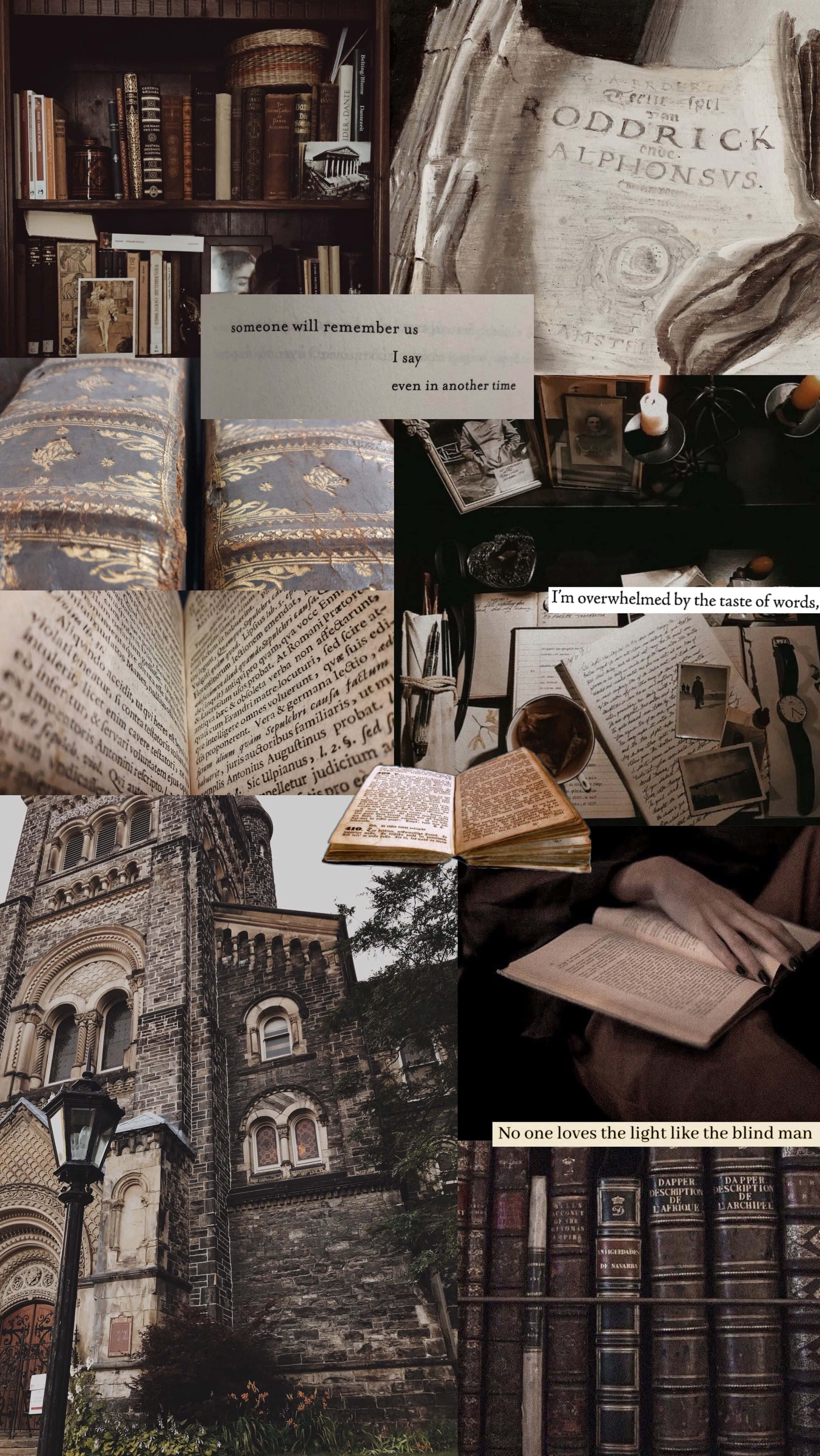 Dark Academia Aesthetic 桌布 壁紙 — 復古書籍、華麗紡織品和哥德式建築的拼貼畫，喚起懷舊的文學氛圍。
