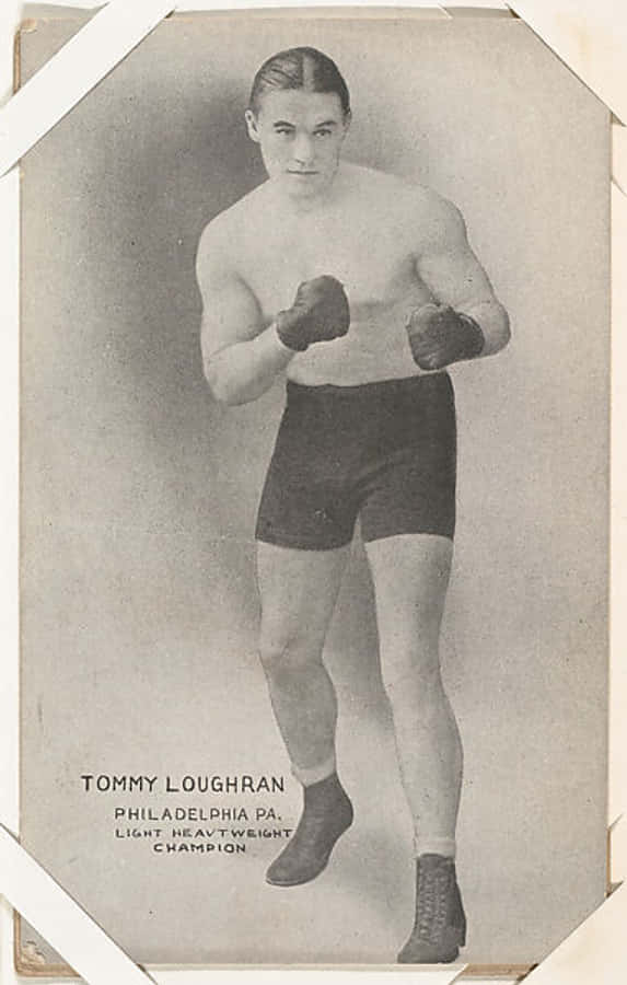 Boxing 桌布 壁紙 — 復古棕褐色調拳擊手 Tommy Loughran 的肖像，戴著手套和短褲，擺出戰鬥姿勢。