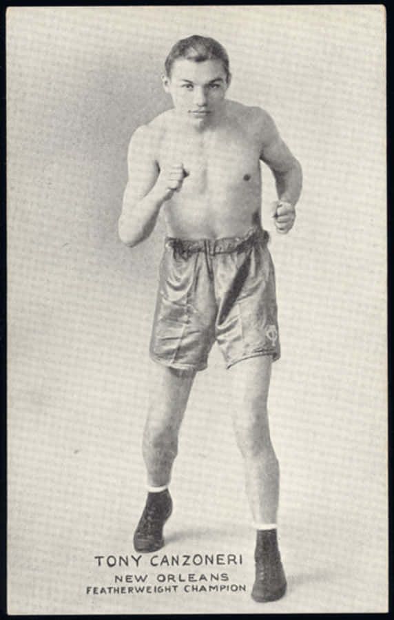 Boxing 桌布 壁紙 — 復古棕褐色調拳擊手Tony Canzoneri穿著緞面短褲和靴子的戰鬥姿勢肖像。