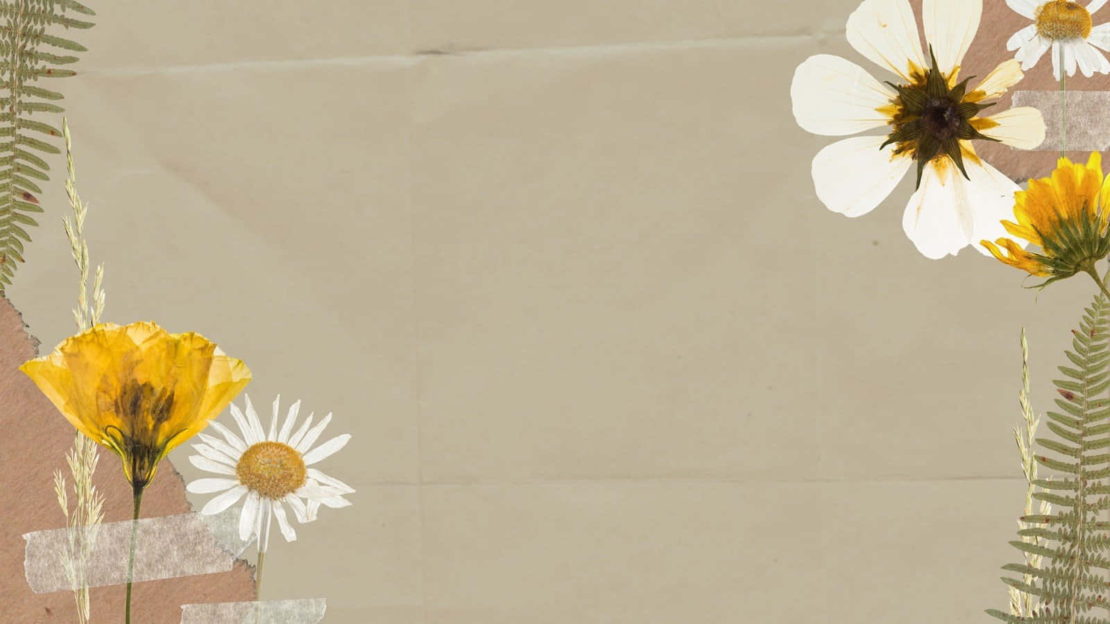 Canva 桌布 壁紙 — 復古植物拼貼畫，以壓製的黃色罌粟花、雛菊和蕨類植物排列在米色紙上，並帶有膠帶裝飾。
