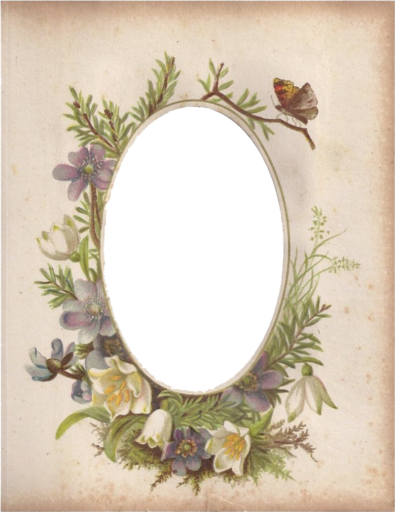 Oval Frame 桌布 壁紙 — 復古植物插圖，帶有紫色和白色花朵的花環，以及棲息在樹枝上的蝴蝶。