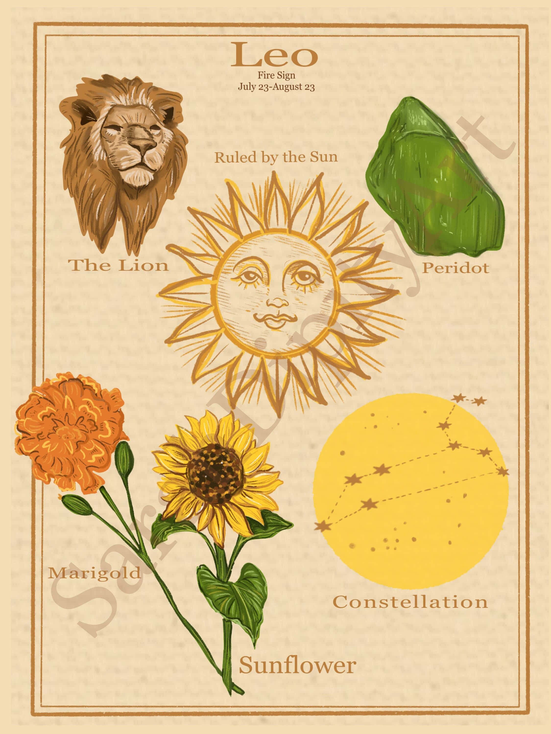 Leo Aesthetic 桌布 壁紙 — 復古獅子座占星海報，以溫暖大地色調呈現獅子、向日葵、萬壽菊、橄欖石和星座。