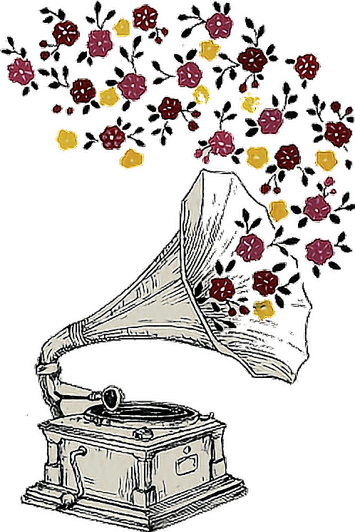 Musical Instrument 桌布 壁紙 — 復古留聲機在純黑背景下噴射出紅色和黃色的花朵。