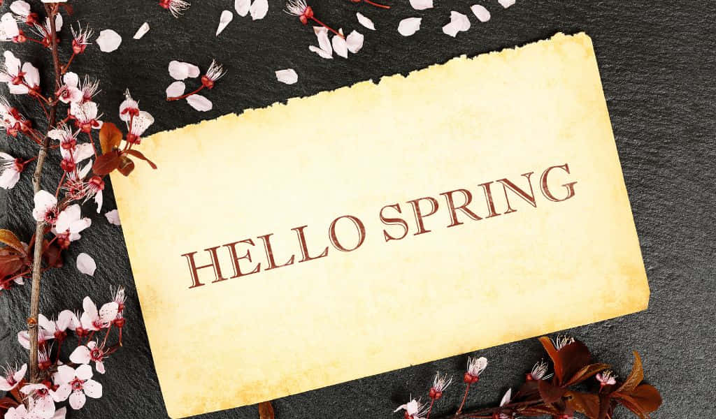 1024x600 桌布 壁紙 — 復古羊皮紙上帶有「HELLO SPRING」文字，周圍環繞著精緻的粉紅色櫻花，背景為深色石板。