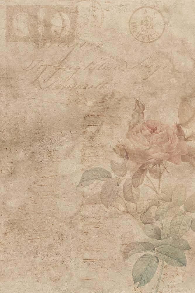 Vintage Rose 桌布 壁紙 — 復古羊皮紙背景，帶有褪色郵戳和草書文字，右下角有一朵柔和的粉紅玫瑰和綠葉。