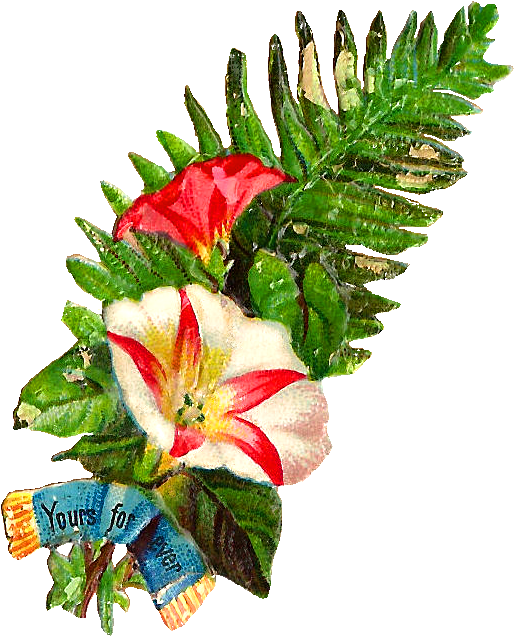 熱帶 桌布 壁紙 — 復古花卉插圖，以紅色和白色花朵、綠色蕨類植物和一條寫有「Yours for ever」的藍色絲帶為特色。