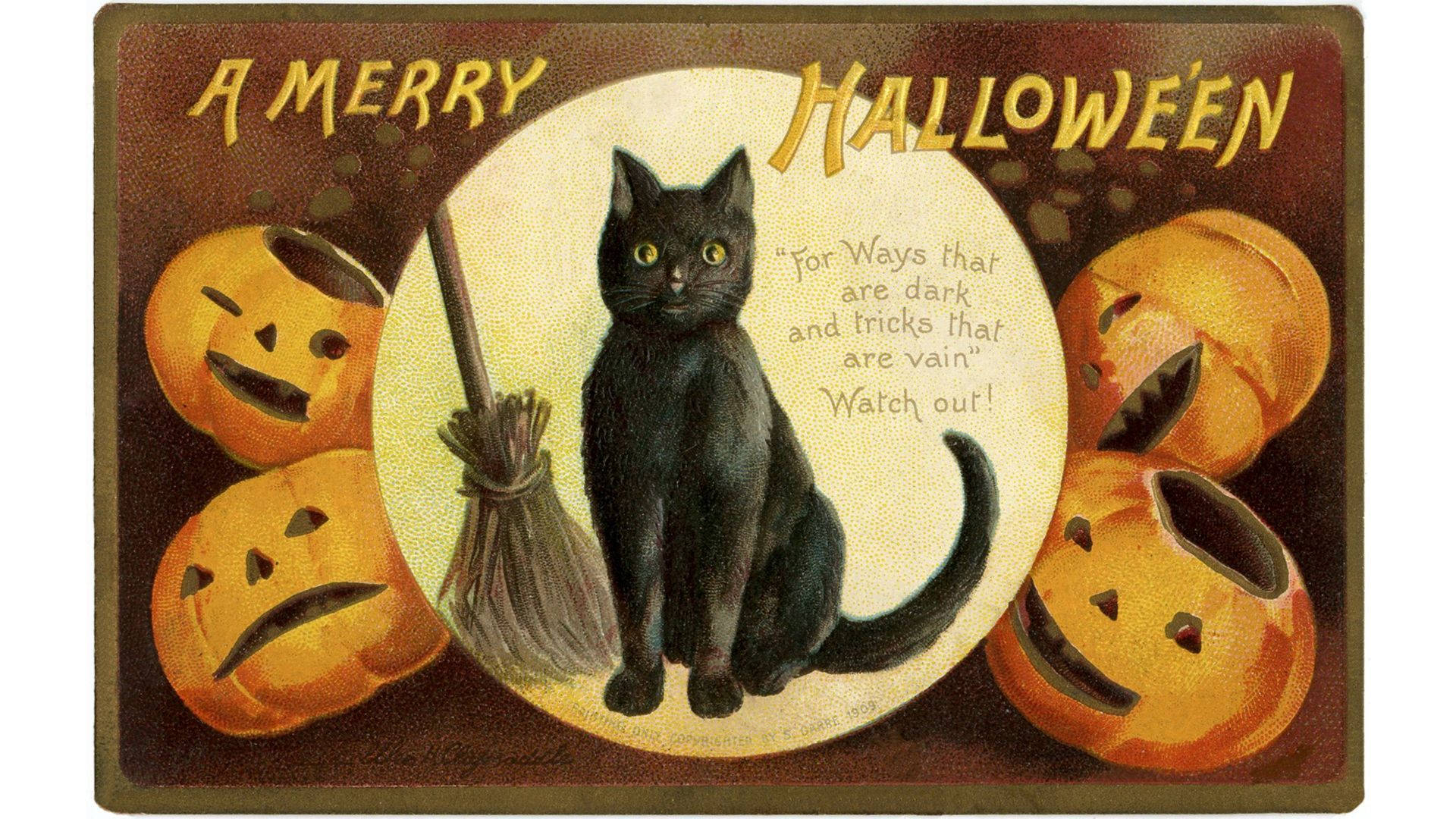 Vintage Halloween 桌布 壁紙 — 復古萬聖節明信片，一隻黑貓閃爍著眼睛拿著掃帚，周圍是雕刻的南瓜。