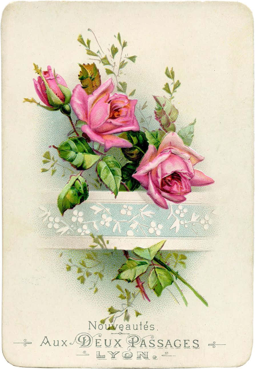 Vintage Rose 桌布 壁紙 — 復古風格插圖明信片，以奶油色背景襯托，精緻粉紅玫瑰與綠葉置於花卉圖案花瓶中。