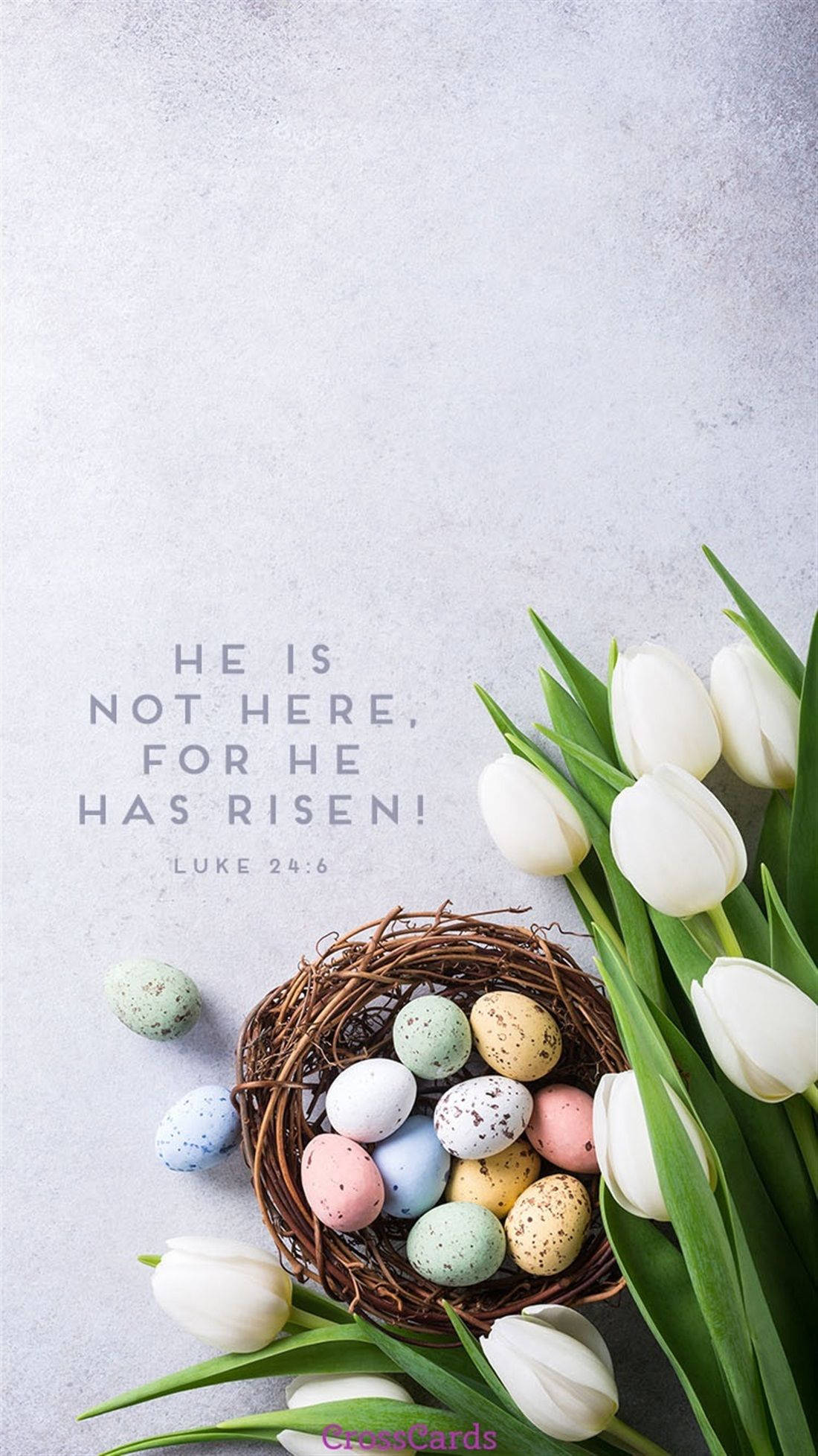 Easter Phone 桌布 壁紙 — 復活節蛋在編織籃中，旁邊有白色鬱金香，放在有紋理的灰色表面上，並疊加聖經經文。