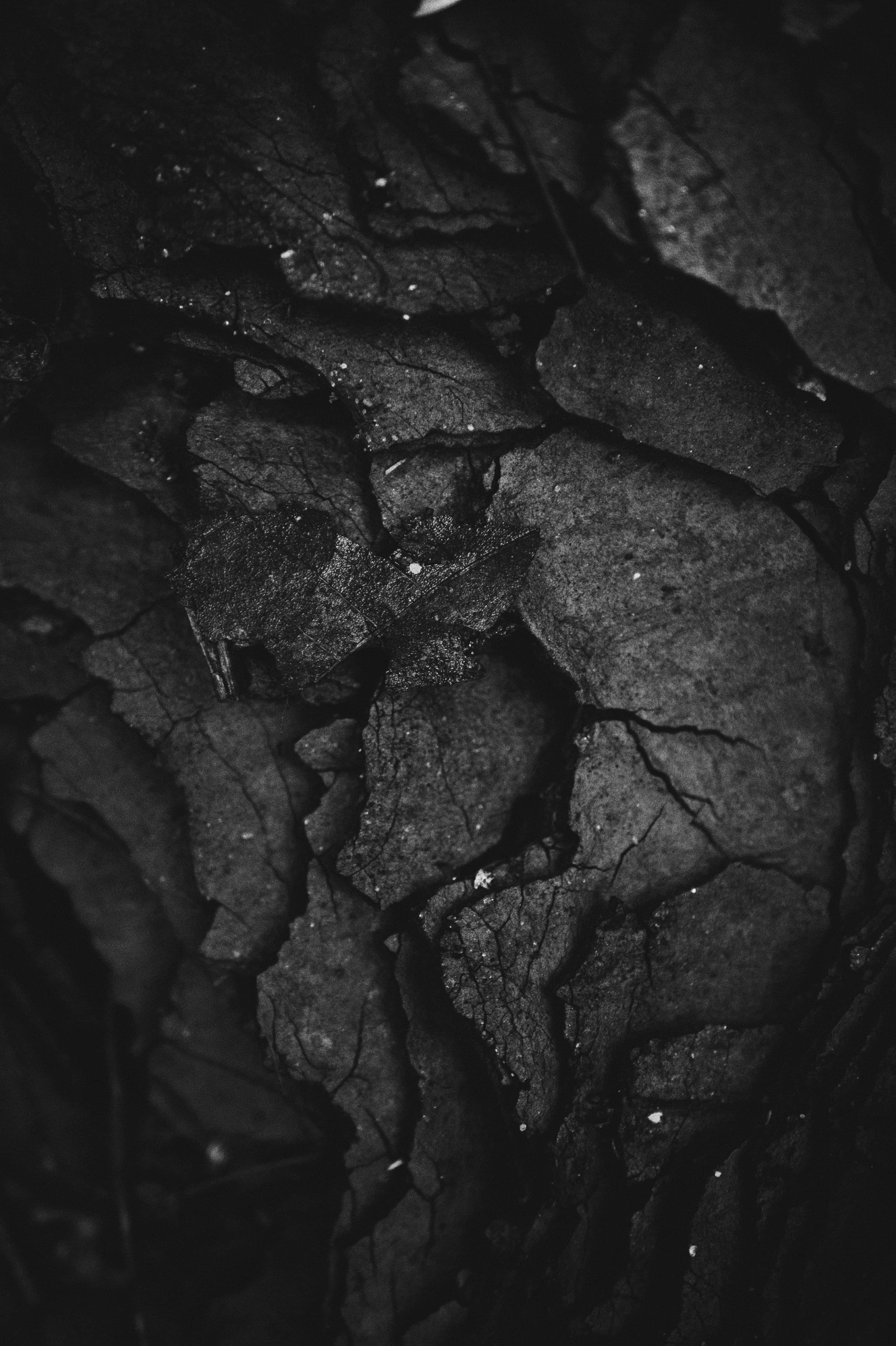 Black And Gray 桌布 壁紙 — 微光下裂開的深色泥土特寫，帶有細微紋理和散落的白色斑點。