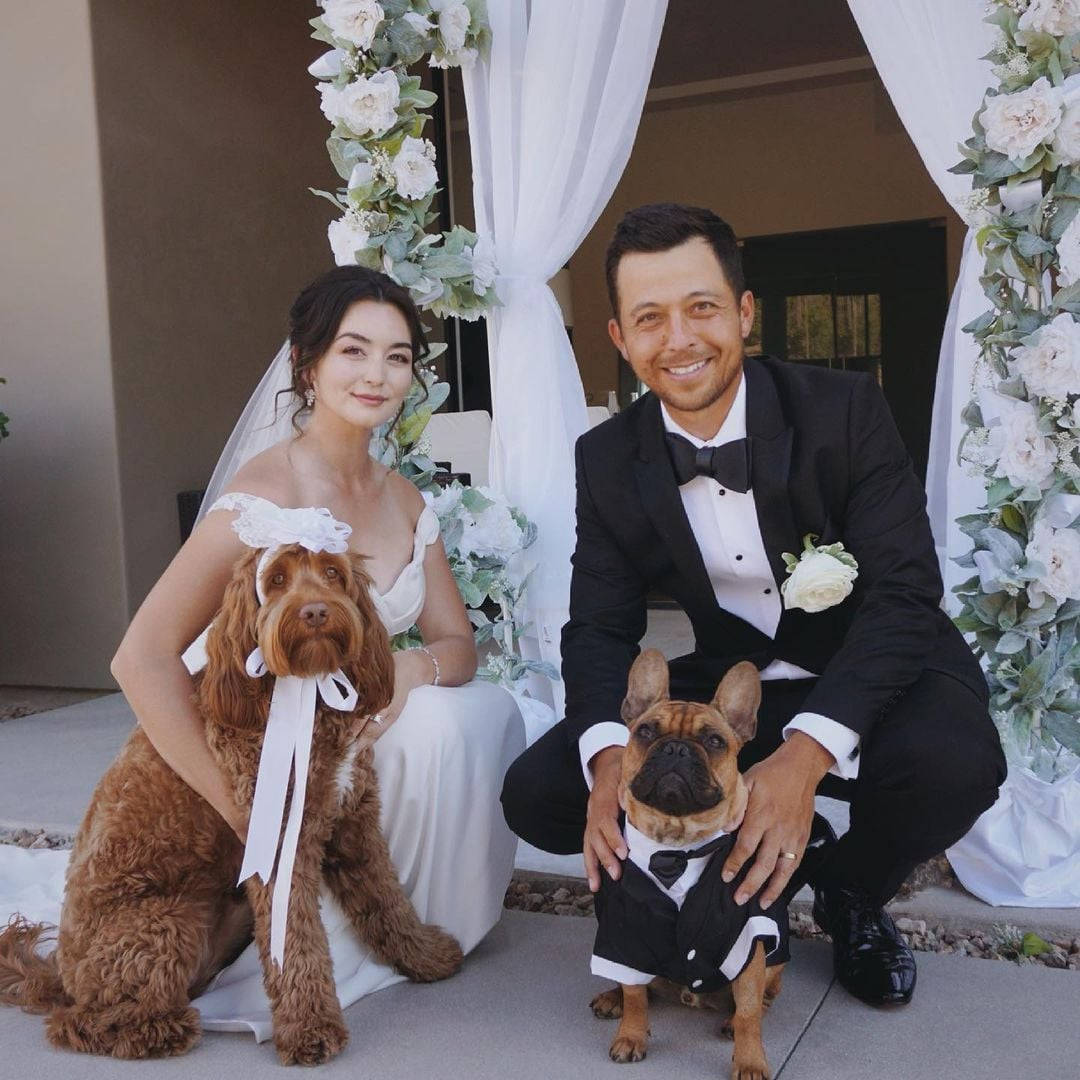 Wedding 桌布 壁紙 — 微笑的新娘和新郎穿著正式服裝，與他們兩隻打扮好的狗在花拱門下擺姿勢。