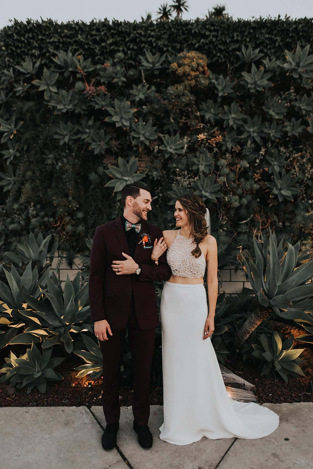 Groom And Bride 桌布 壁紙 — 微笑的新郎新娘在黃金時刻於茂盛的綠色多肉植物牆前擁抱。
