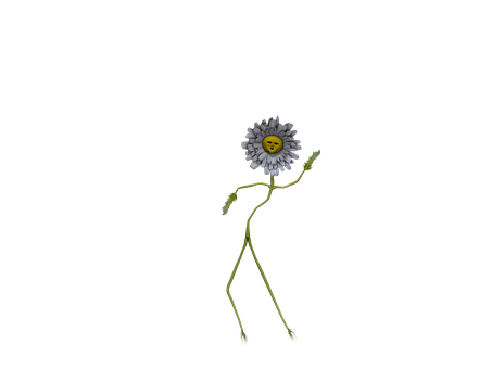 微笑跳舞的雛菊 壁紙