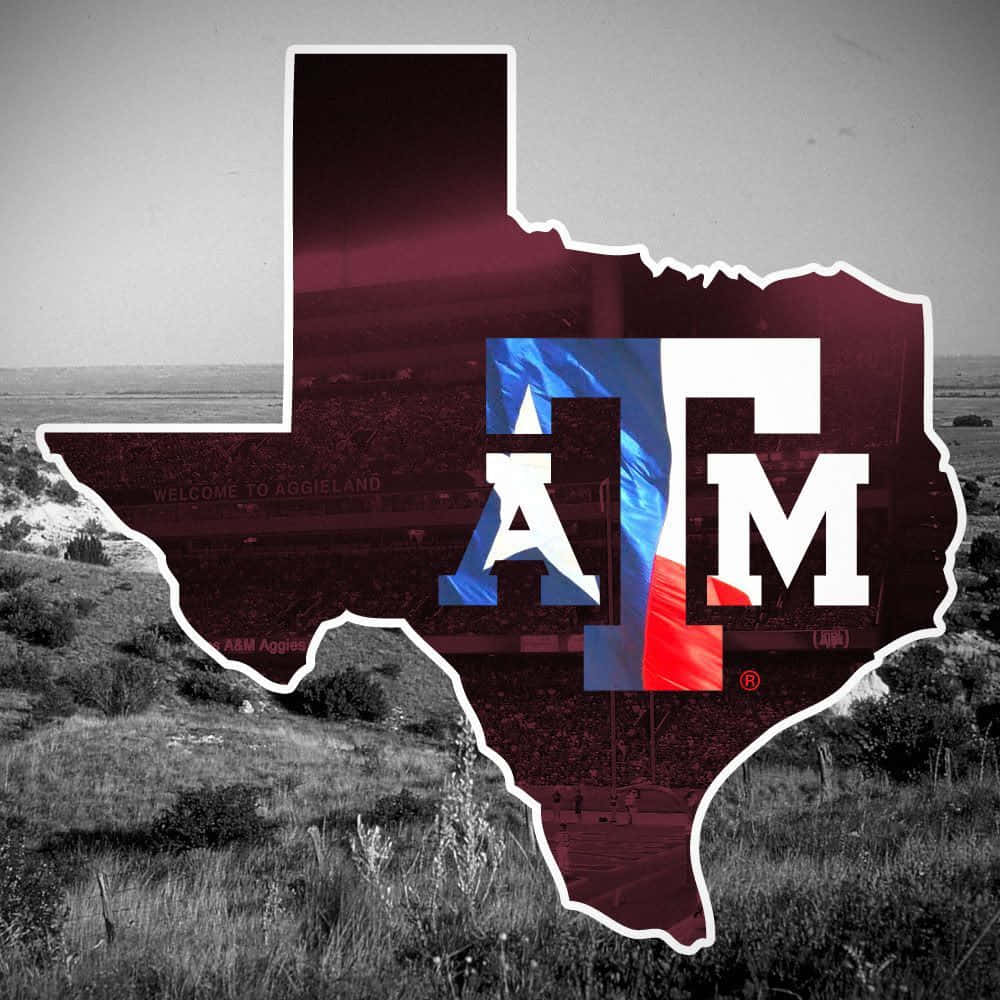 Texas Am 桌布 壁紙 — 德州形狀圖形，粗體ATM標誌疊加在黑白的體育場和草原景觀上。