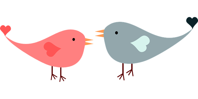 愛情鳥卡通插畫 壁紙