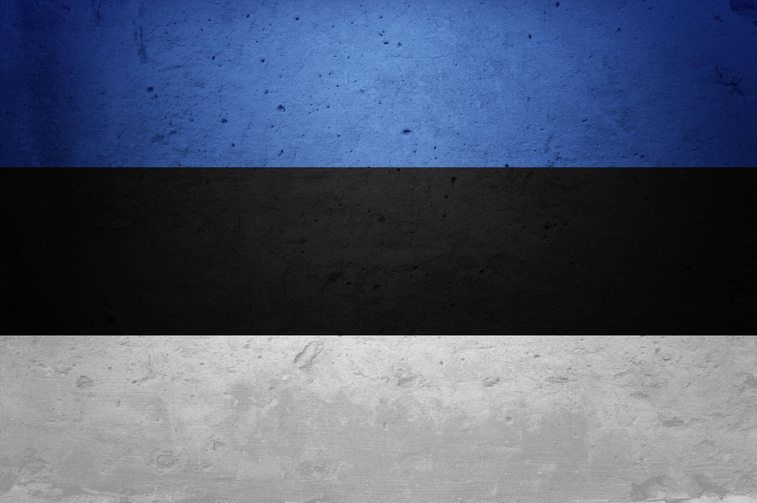 Estonia 桌布 壁紙 — 愛沙尼亞國旗，帶有藍、黑、白橫條紋，位於紋理混凝土表面。