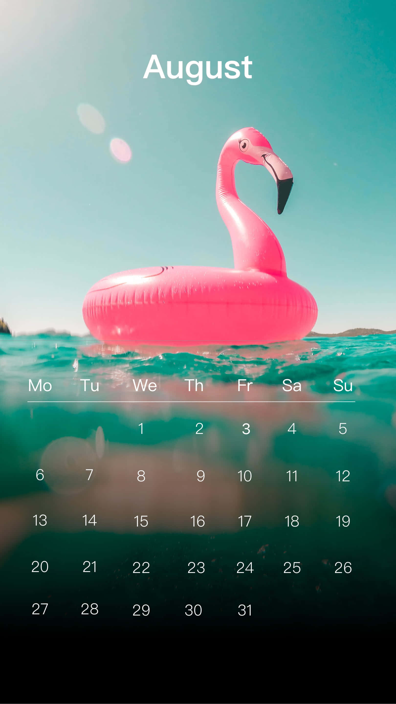 慶祝夏末，享受八月假期 壁紙