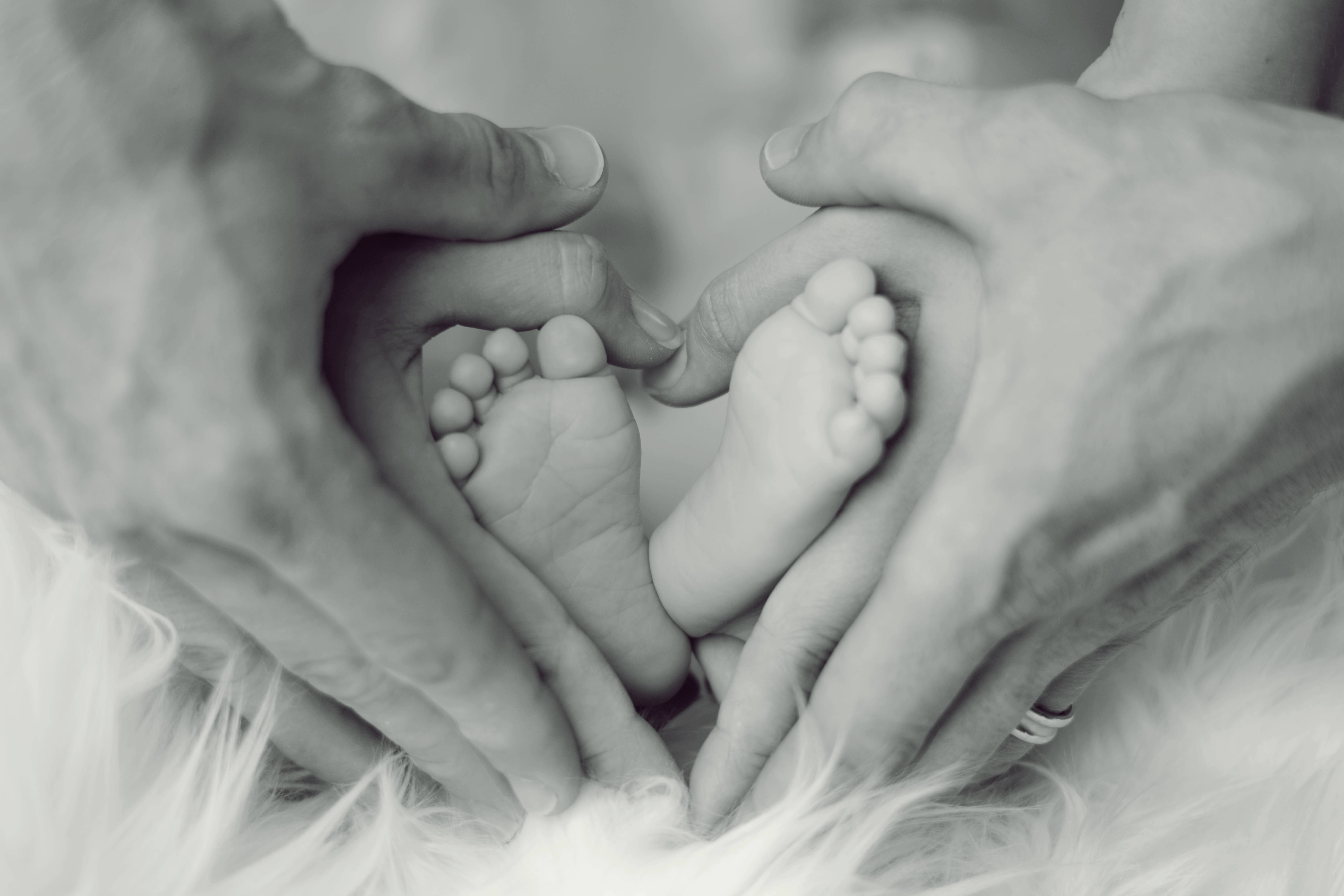 Mom 桌布 壁紙 — 成人雙手輕柔地托著嬰兒的小腳，在柔軟的白色毛皮上形成心形，單色調。