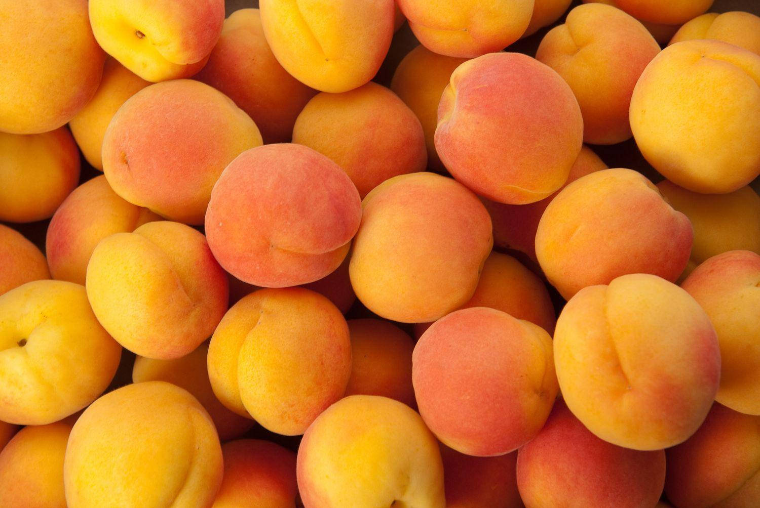 Fruit 桌布 壁紙 — 成熟杏子堆疊在一起的近距離特寫，展現柔和的蜜桃橙色調和細微的紅暈色調。