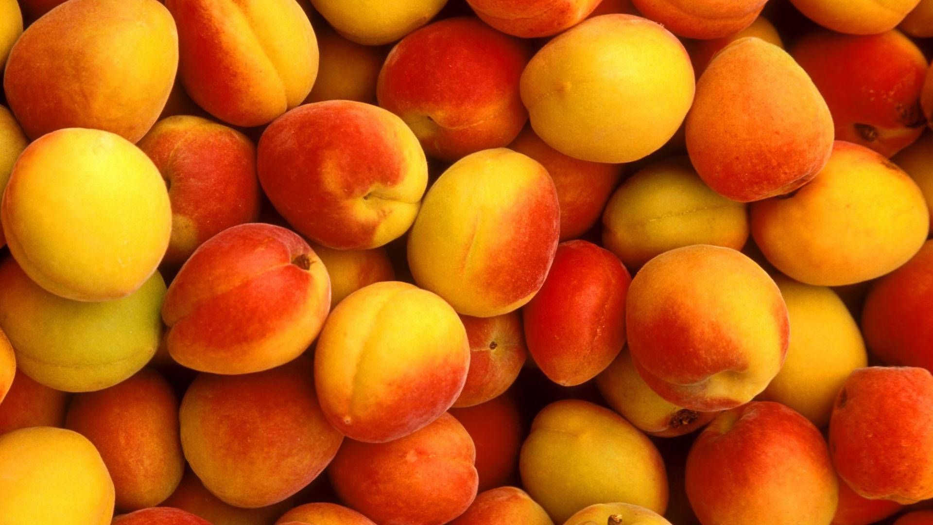 Peach 桌布 壁紙 — 成熟杏子堆疊在一起的鮮豔特寫，展現溫暖的橙色、黃色和紅色色調。
