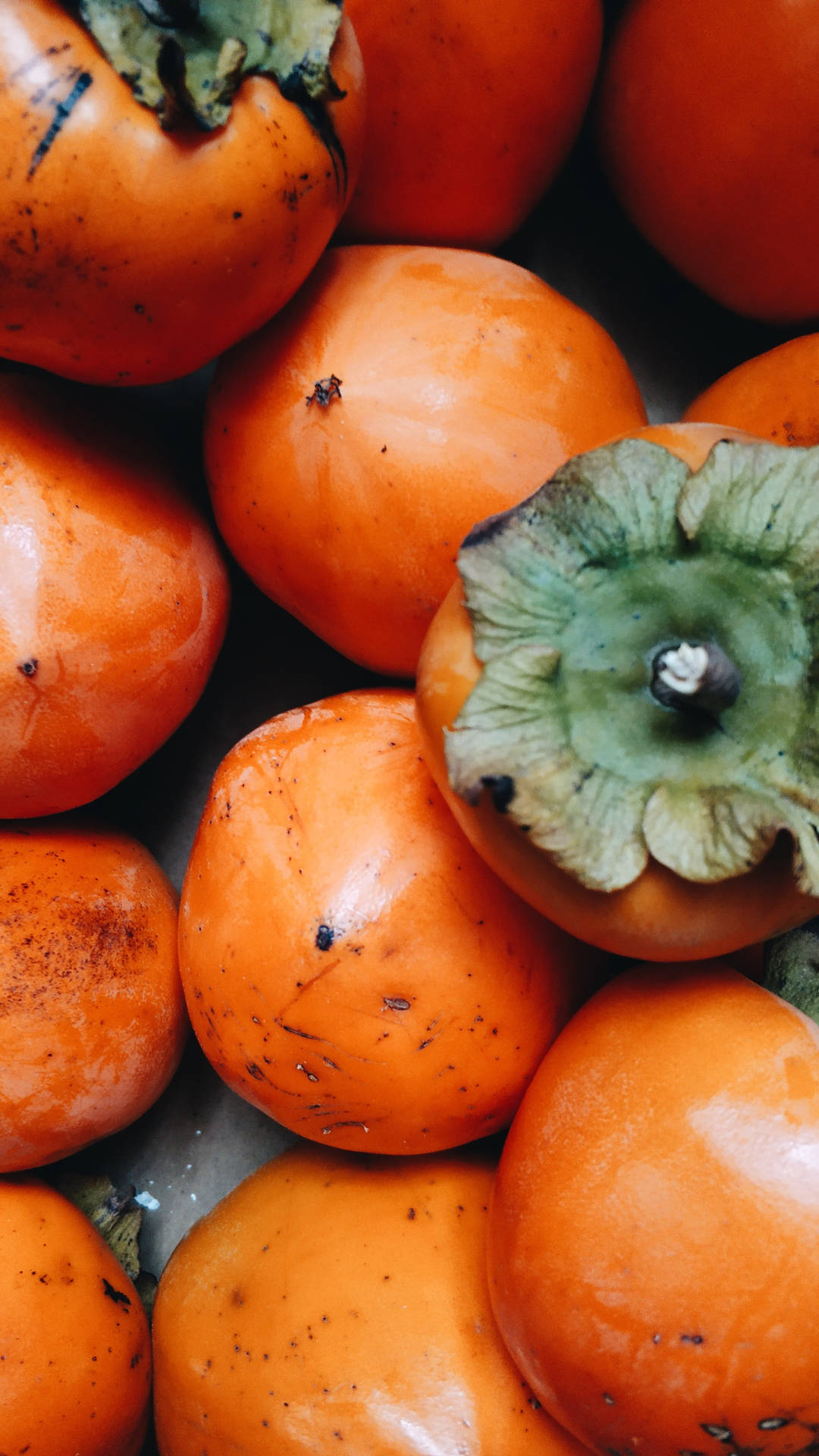 Fruit 桌布 壁紙 — 成熟柿子的特寫，帶有鮮豔的橙色外皮和綠色葉帽。