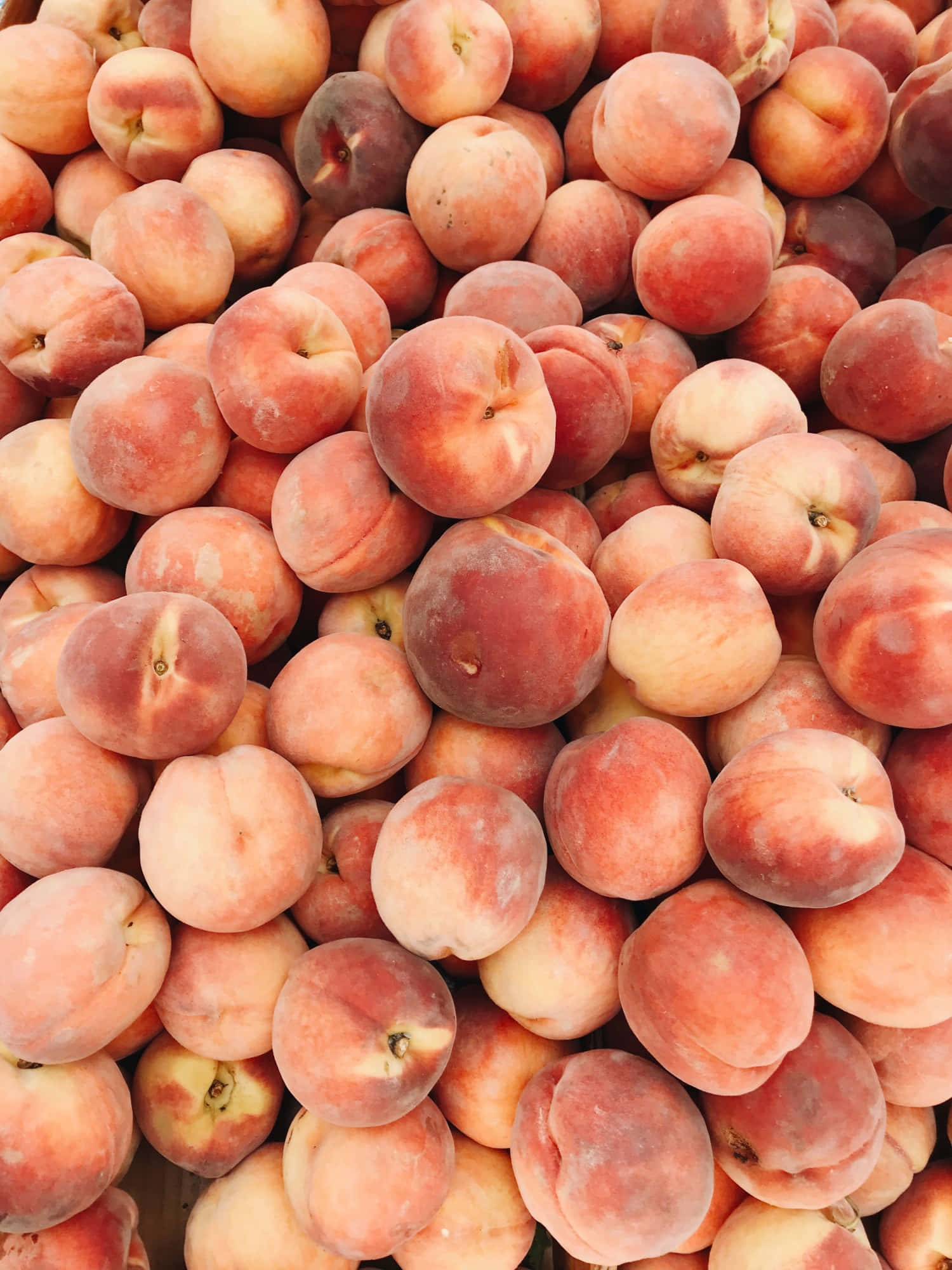 Fruit 桌布 壁紙 — 成熟桃子堆疊在一起的近距離照片，展現柔和的蜜桃粉紅色調和絨毛般的表皮質感。