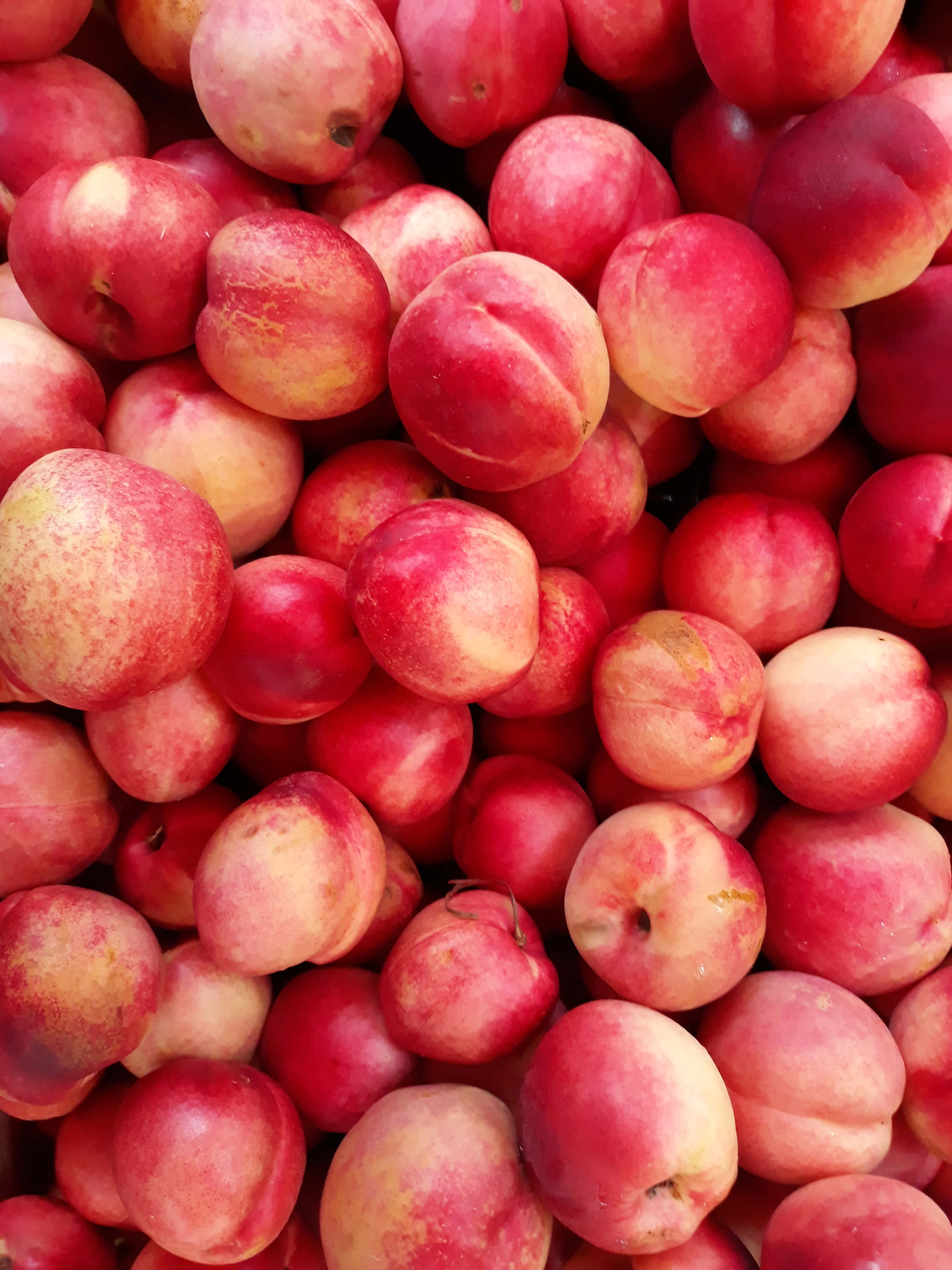 Peaches 桌布 壁紙 — 成熟桃子堆疊在一起的鮮明特寫，呈現紅色、黃色和淡紅色色調，帶有自然瑕疵。
