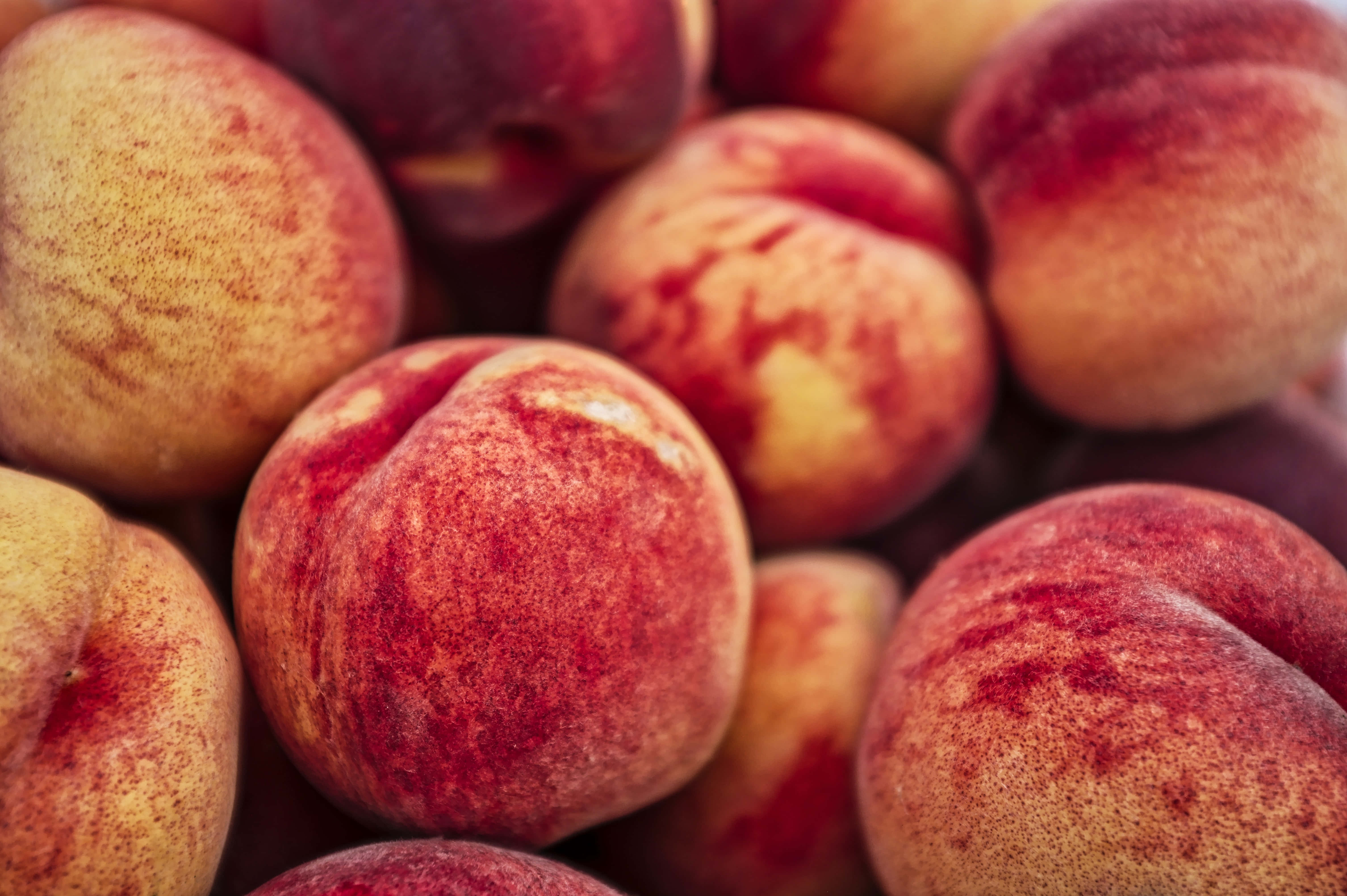 Peaches 桌布 壁紙 — 成熟桃子的特寫，帶有毛茸茸的紅色和黃色皮膚堆疊在一起。