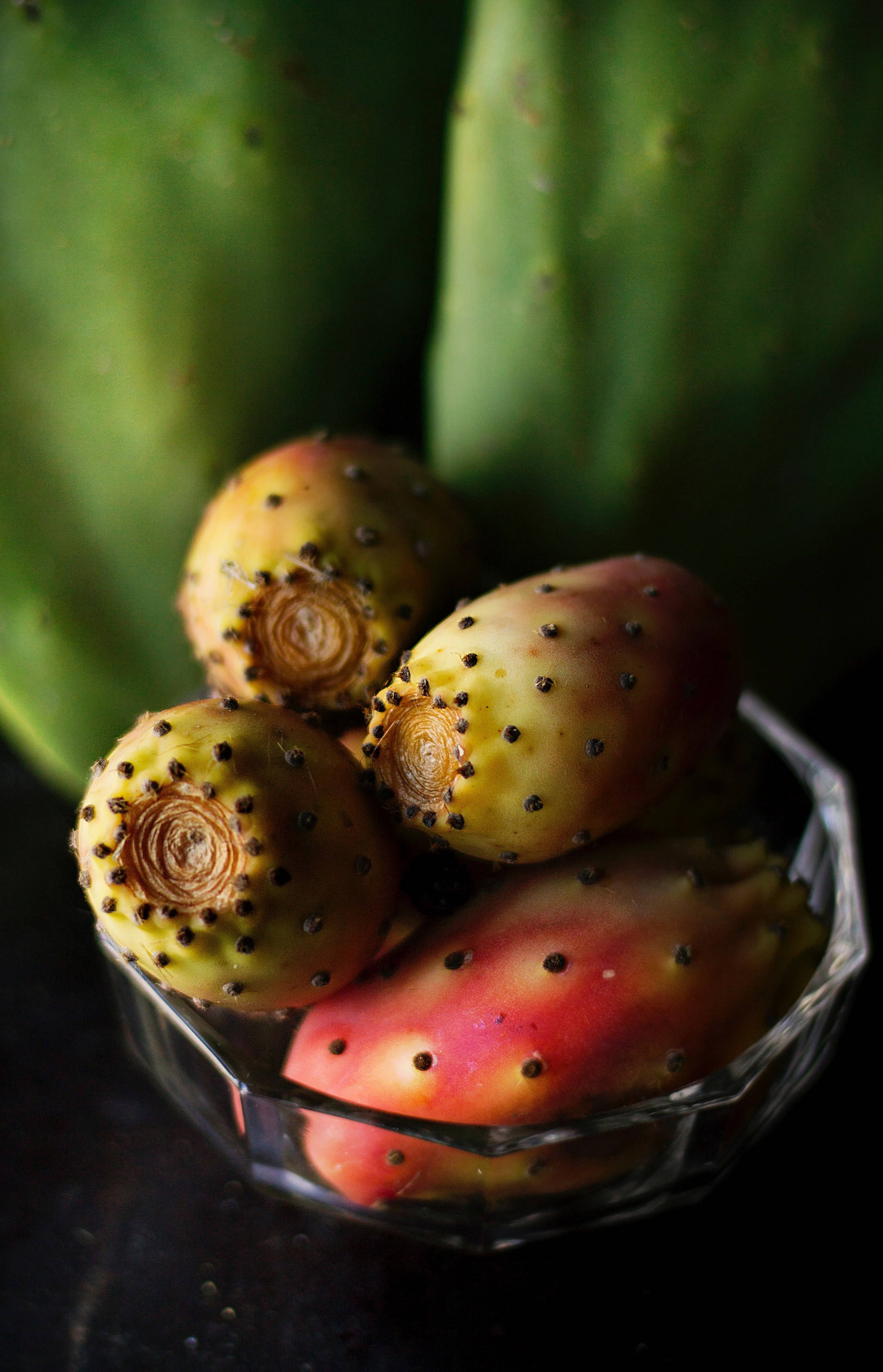 Cactus 桌布 壁紙 — 成熟的仙人掌果帶有刺狀質感，放在一個有刻面的玻璃碗中，背景是模糊的綠色仙人掌墊。