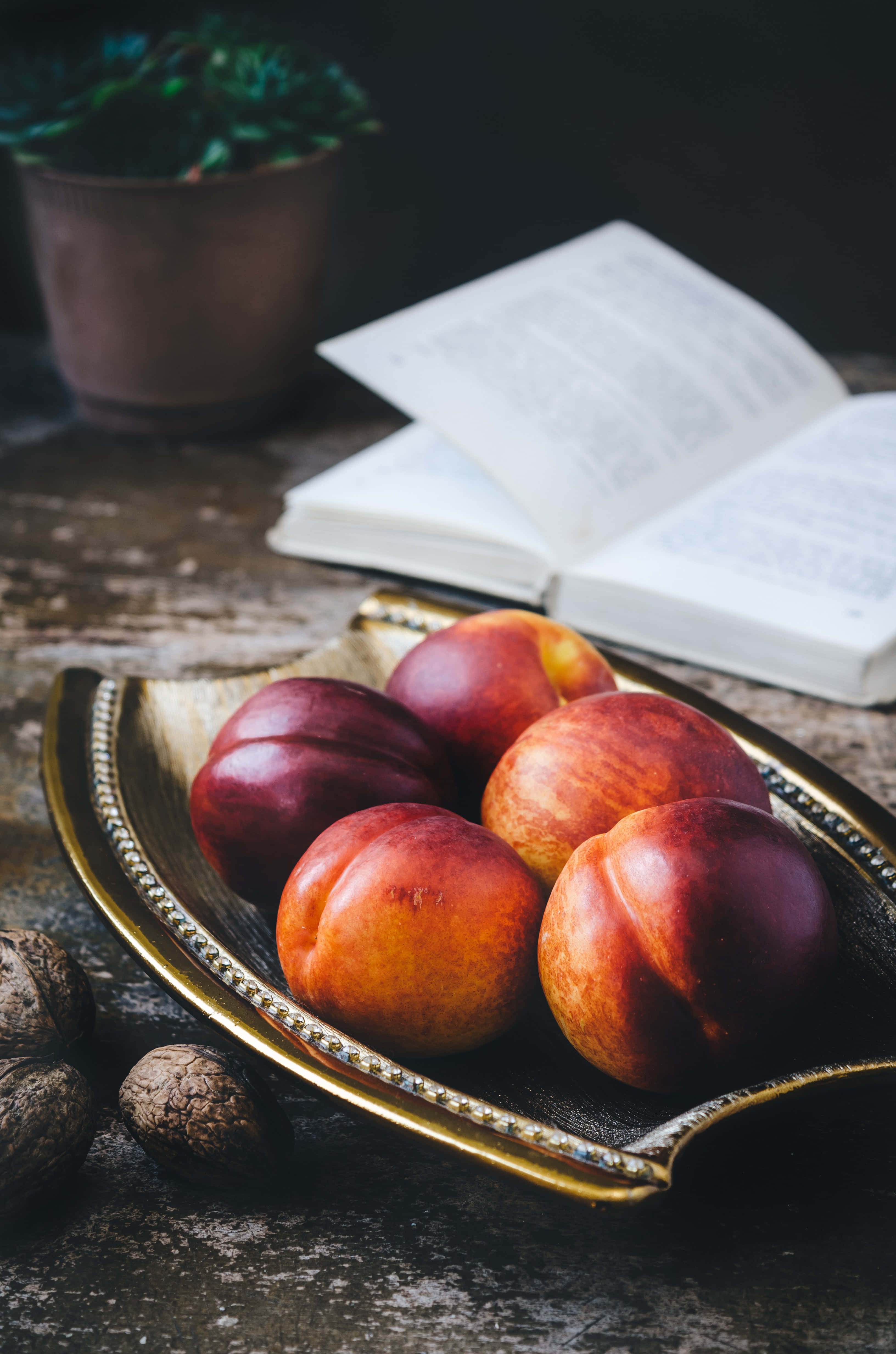 Peaches 桌布 壁紙 — 成熟的水蜜桃在金色托盤上閃耀，旁邊放著一本打開的書和盆栽多肉植物，置於質樸的木桌上。