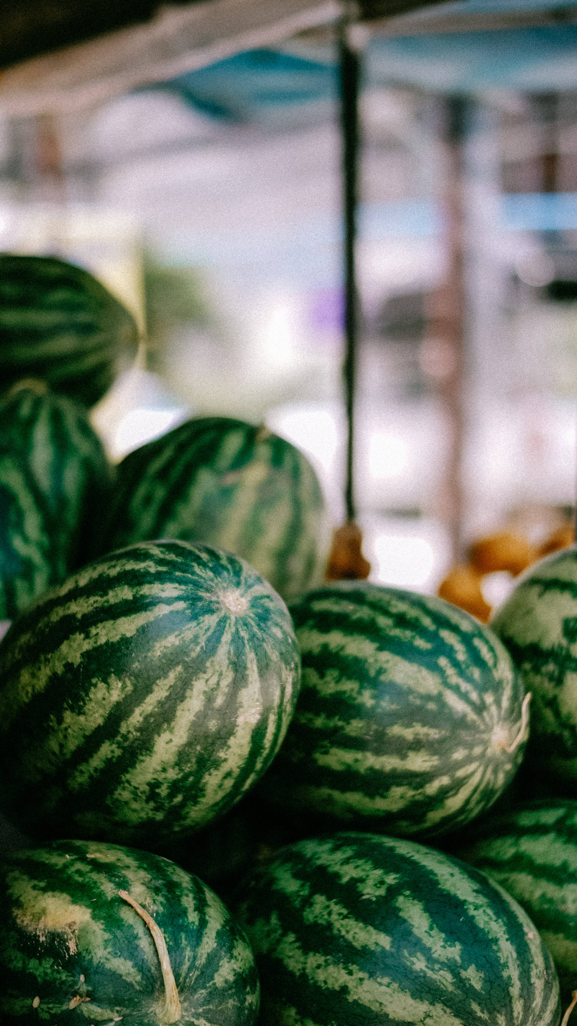 Watermelon 桌布 壁紙 — 成熟的深綠色條紋西瓜在藍色遮陽篷下的陽光市場攤位上休息。