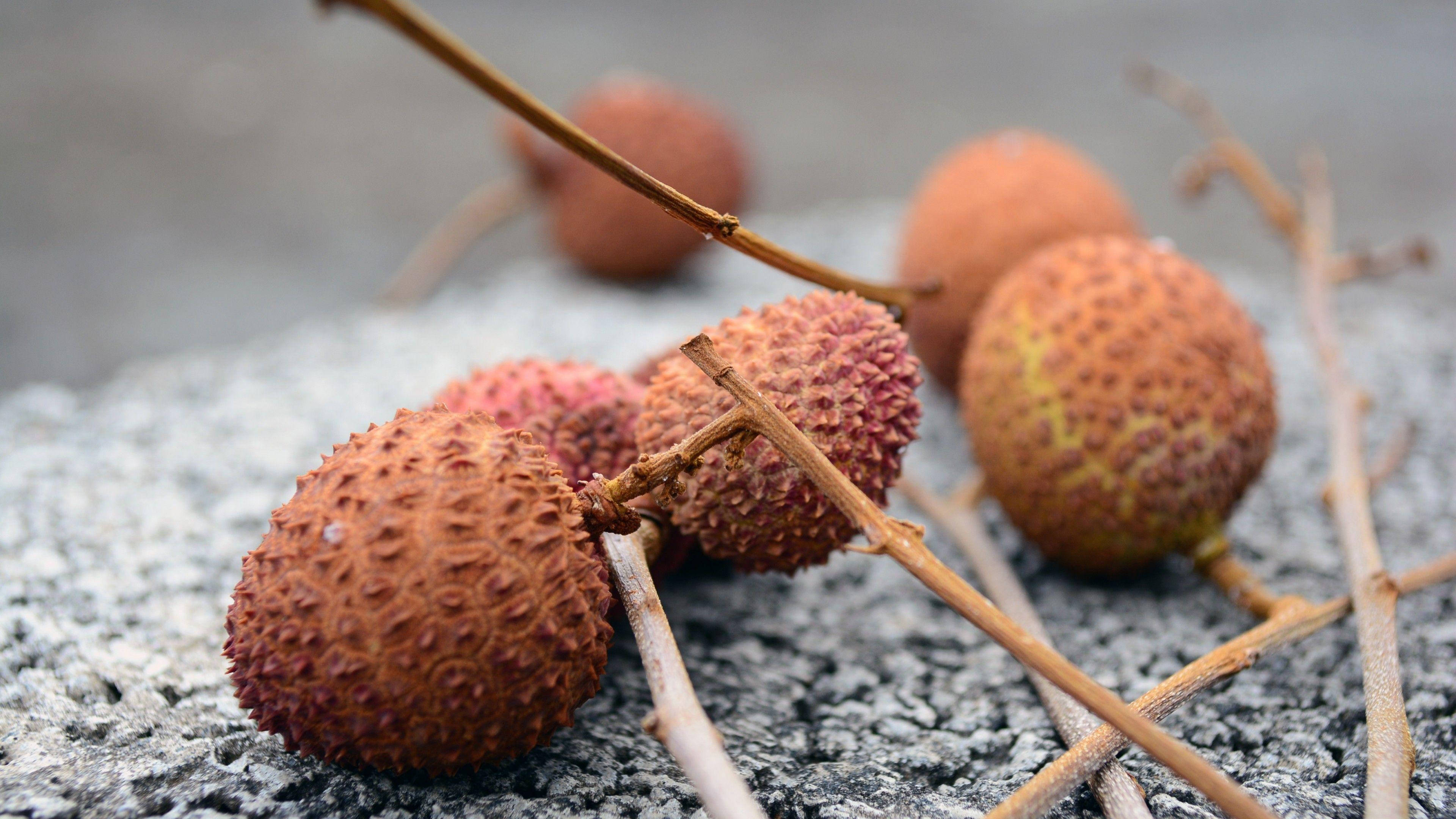 Litchi 桌布 壁紙 — 成熟的荔枝帶有凹凸不平的紅褐色外皮，放在灰色紋理表面上，附有細枝。