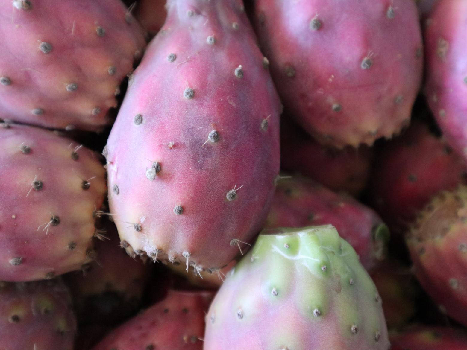 Cactus 桌布 壁紙 — 成熟粉紅色仙人掌果的特寫，帶有絨毛刺和綠色尖端的果實。