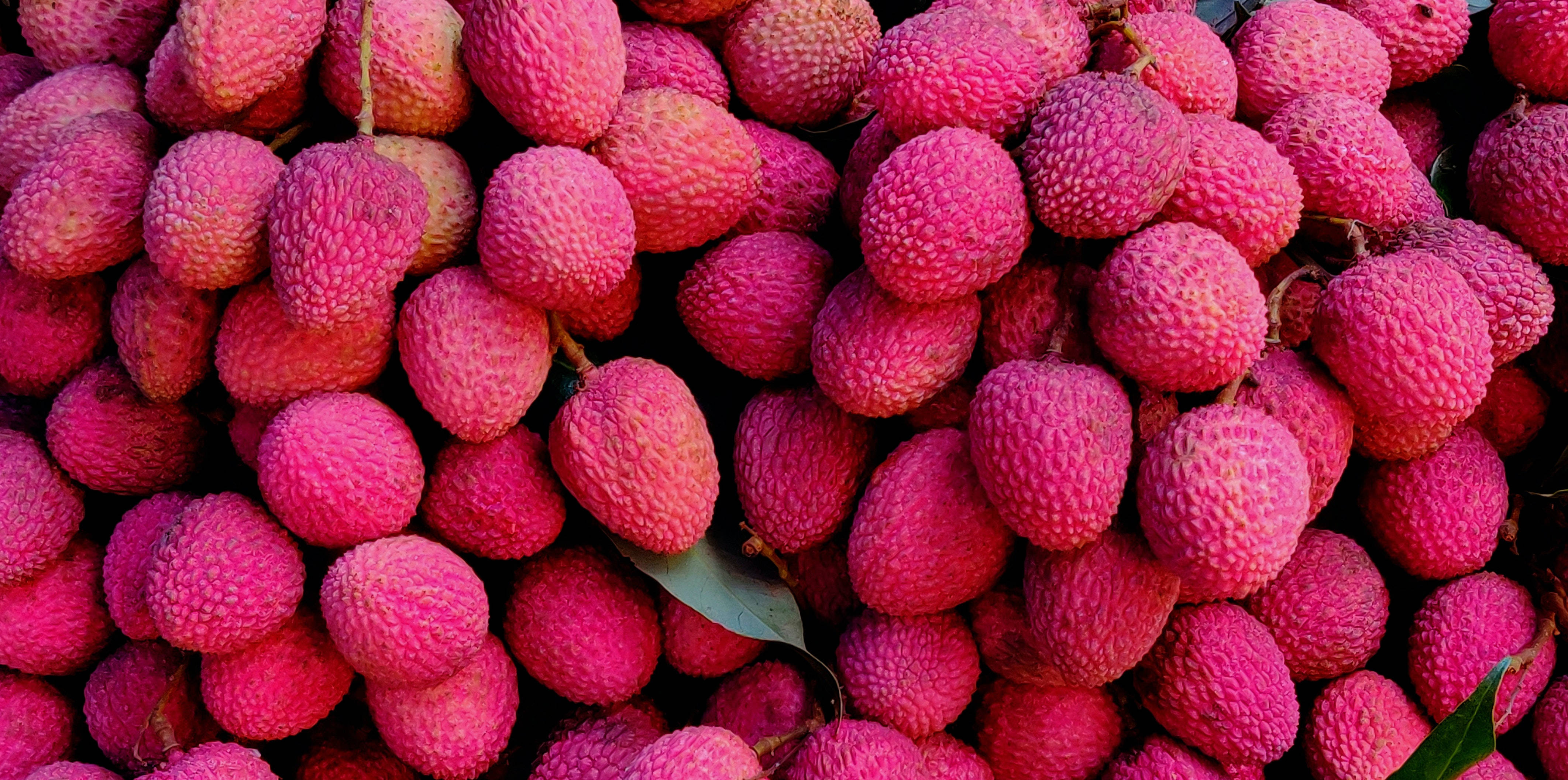 Litchi 桌布 壁紙 — 成熟荔枝的鮮豔特寫，帶有紋理的粉紅色外殼，還有幾片綠葉散落在其中。